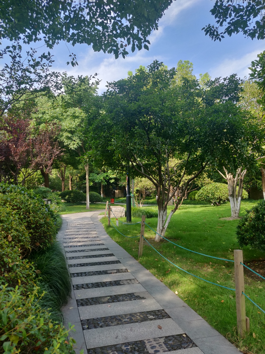 杭州大关公园一瞥