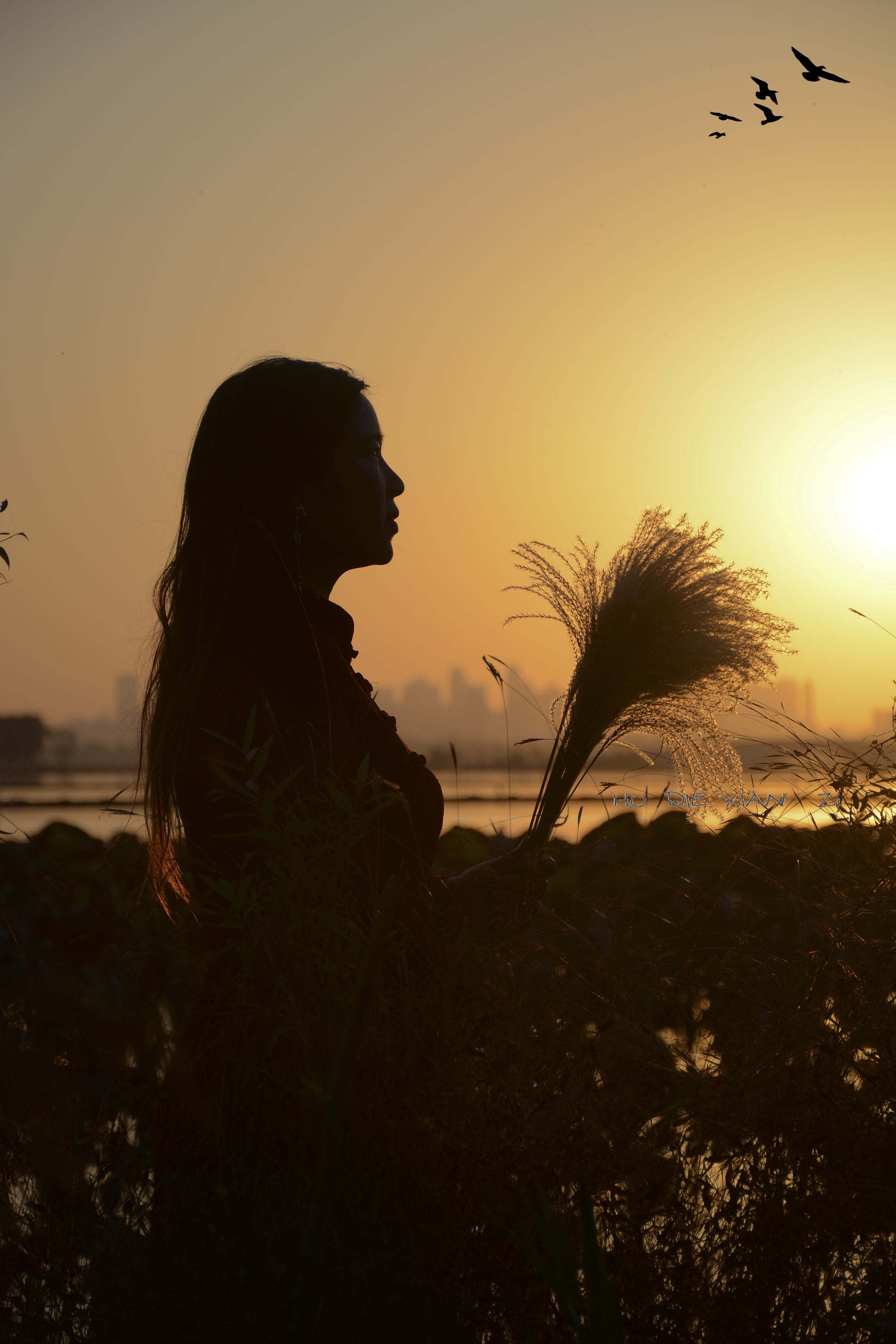 美于斯摄影俱乐部第22期优秀摄影作品交流展