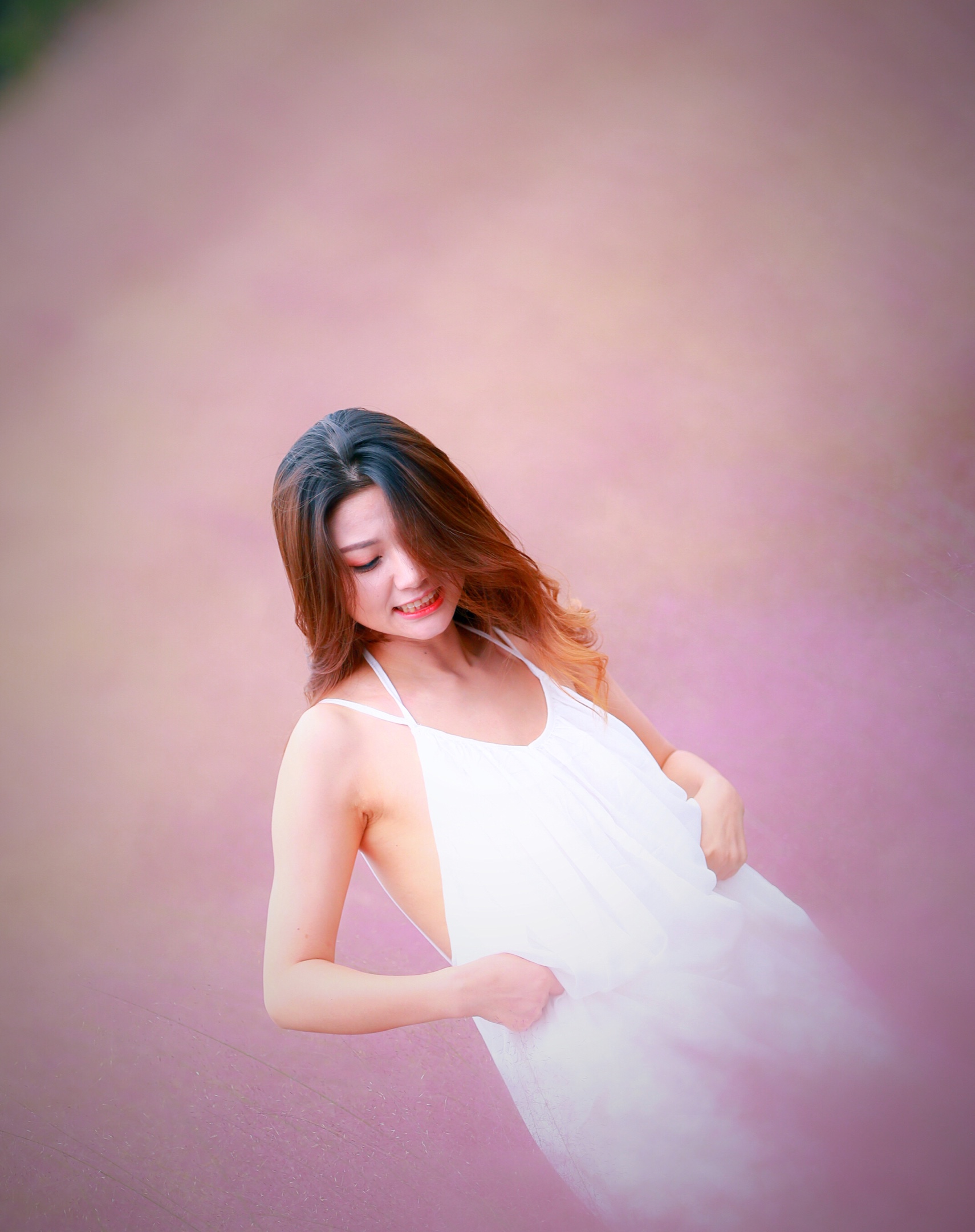 半身高的粉黛乱子草萦绕身侧 仿佛 畅游在粉色云海 随手一拍 如云如雾