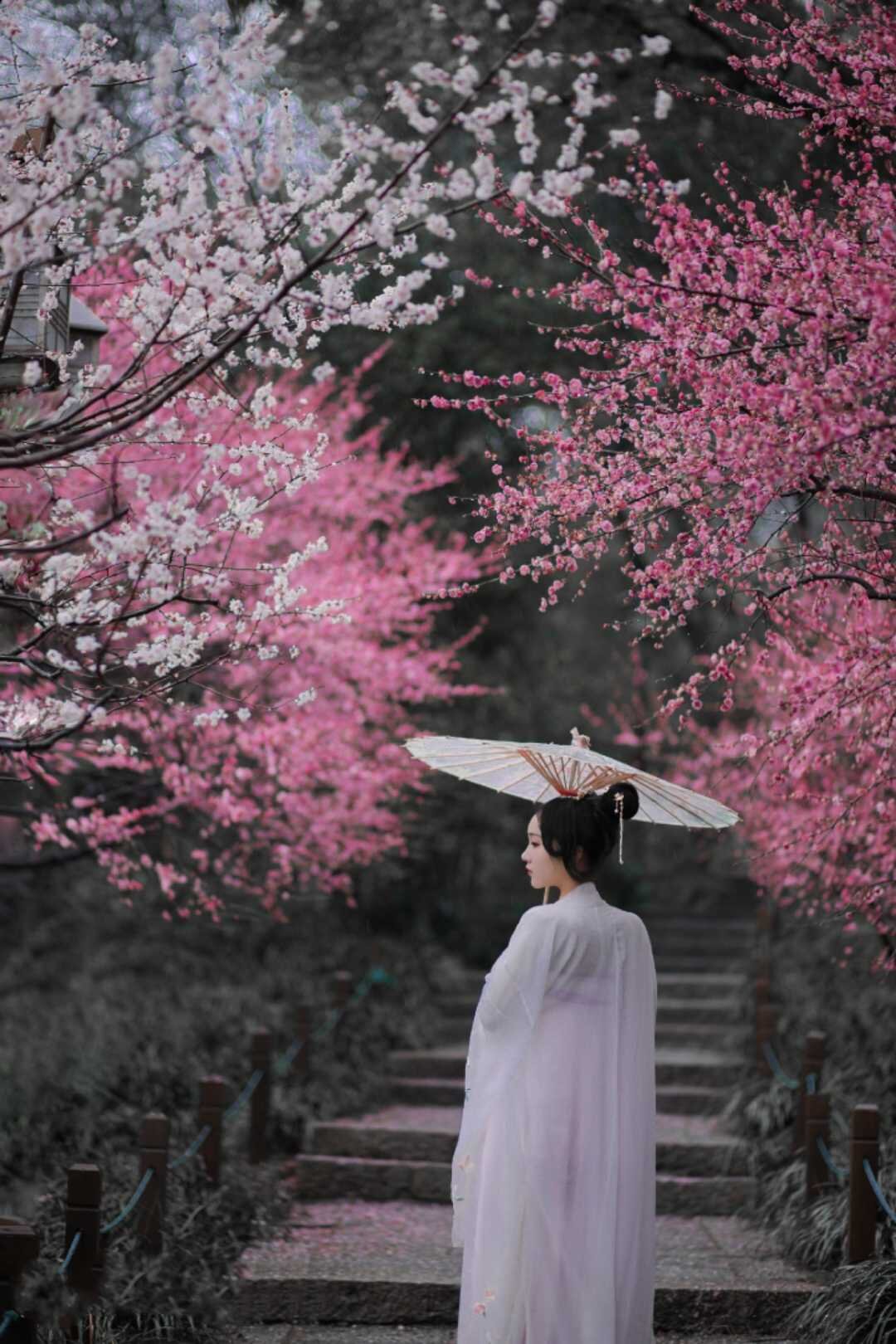 【冬日私语那一缕梅香】首发/作者:菊儿