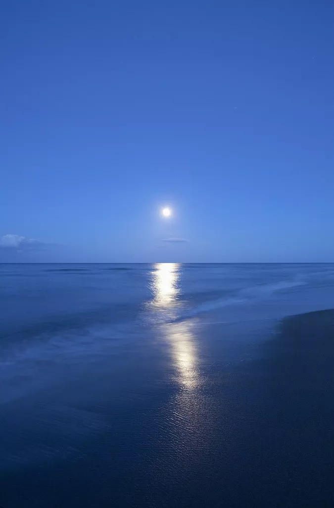 月光下的中国欧震作者诵一然