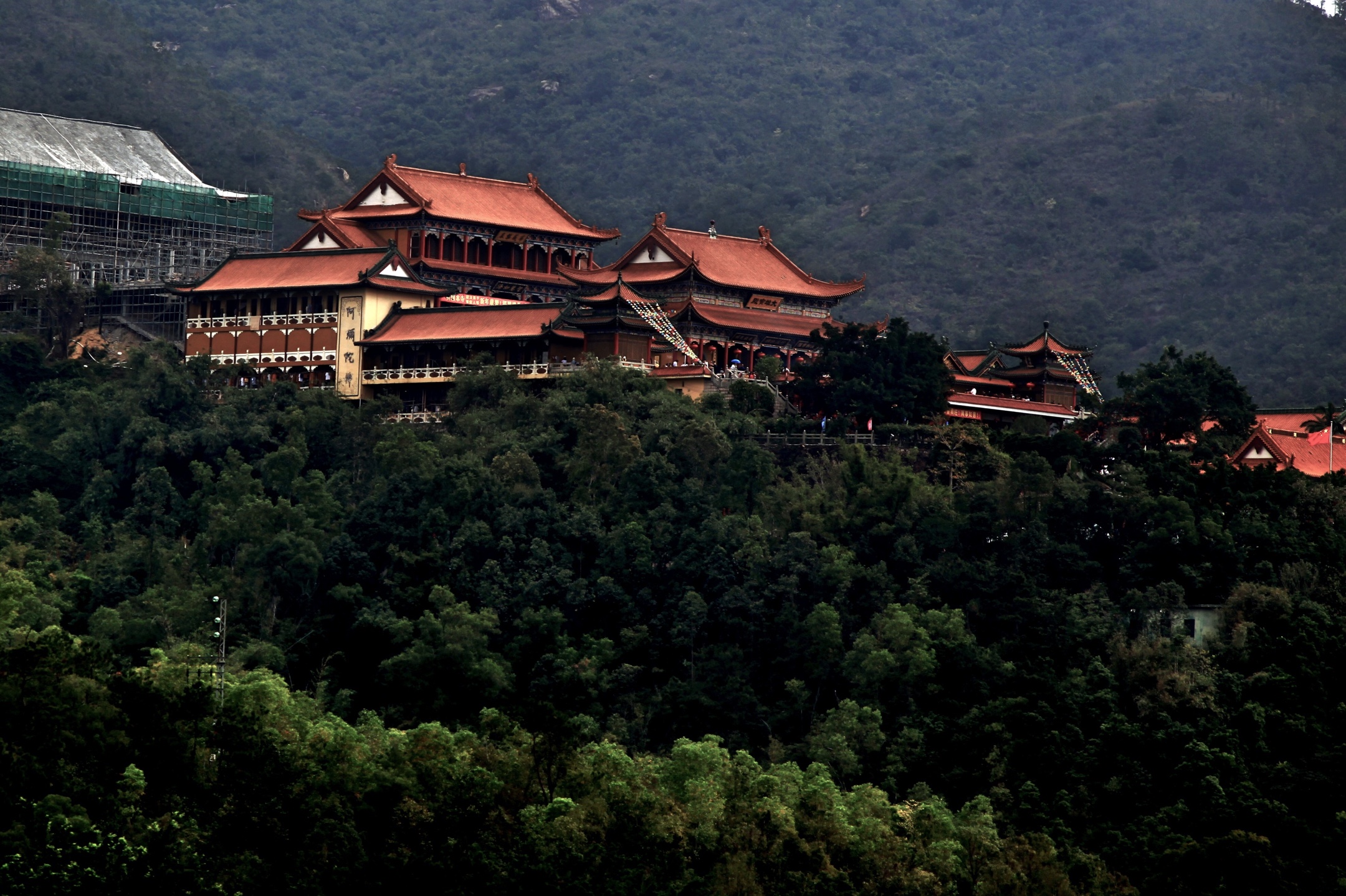 金台寺壁纸图片