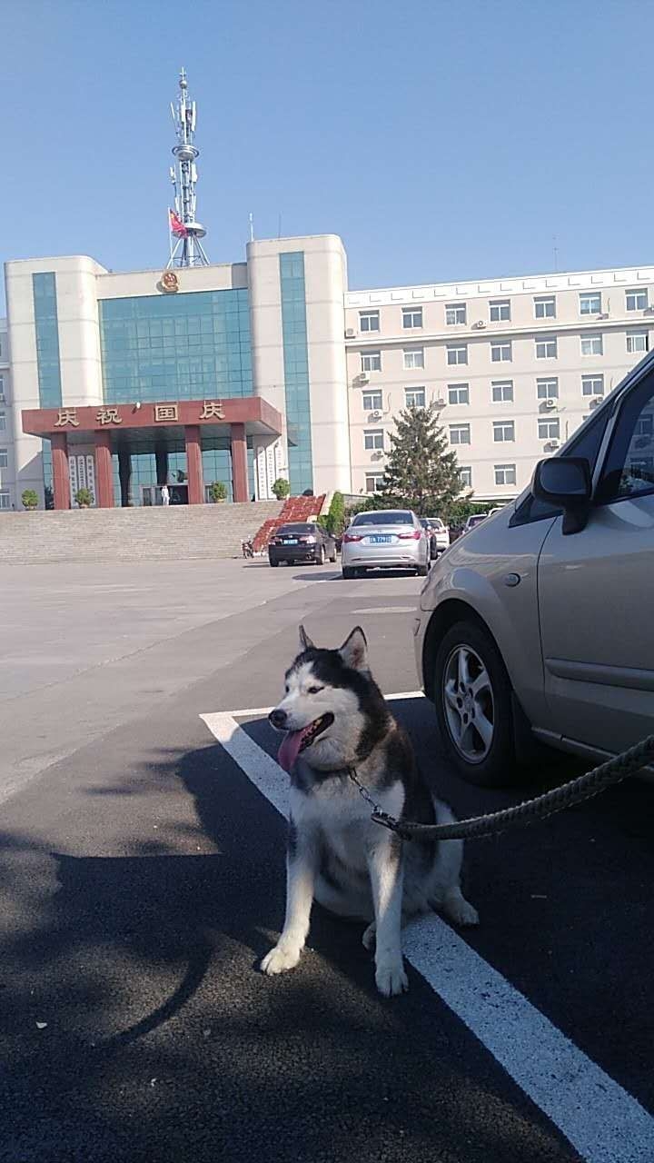 漫步在灯塔市政府广场