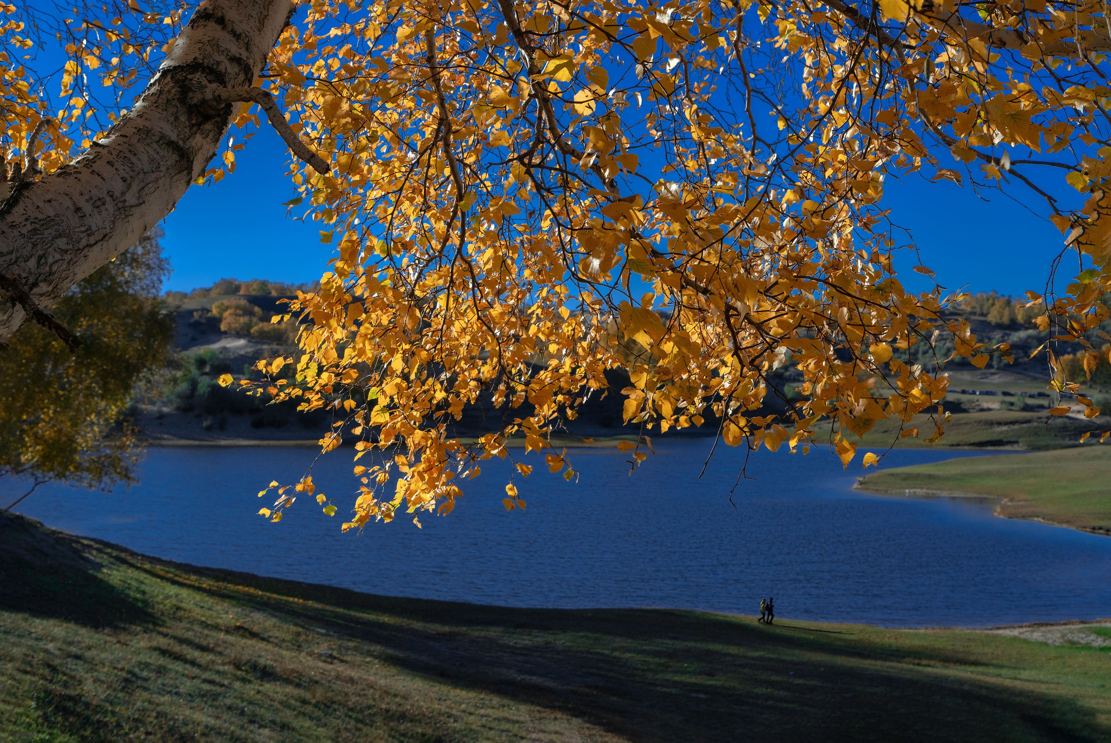中国捕光捉影摄影群作品精选(十九)