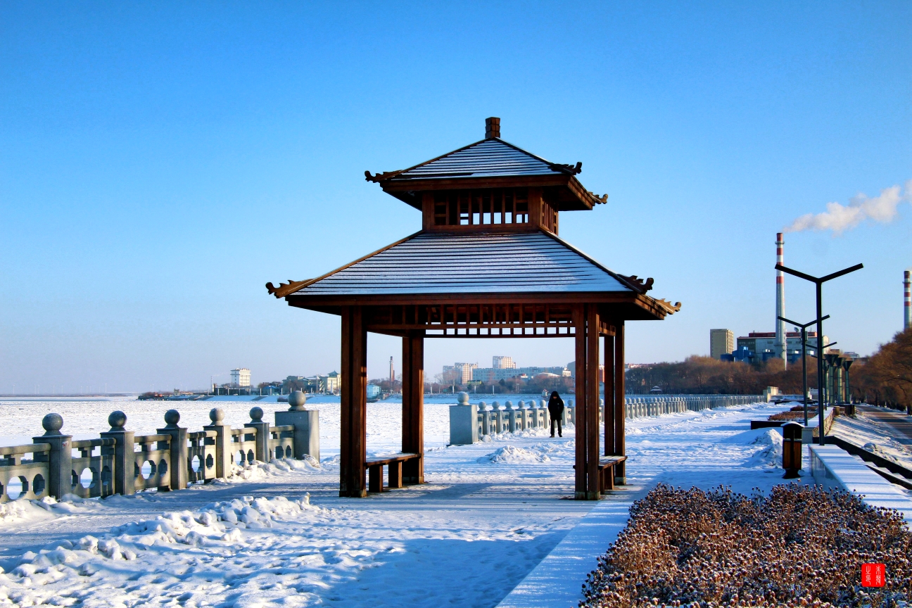 天下富锦绣中华(五十)任寒风凛冽难摇青松志,凭斗室狭小读破万卷书.