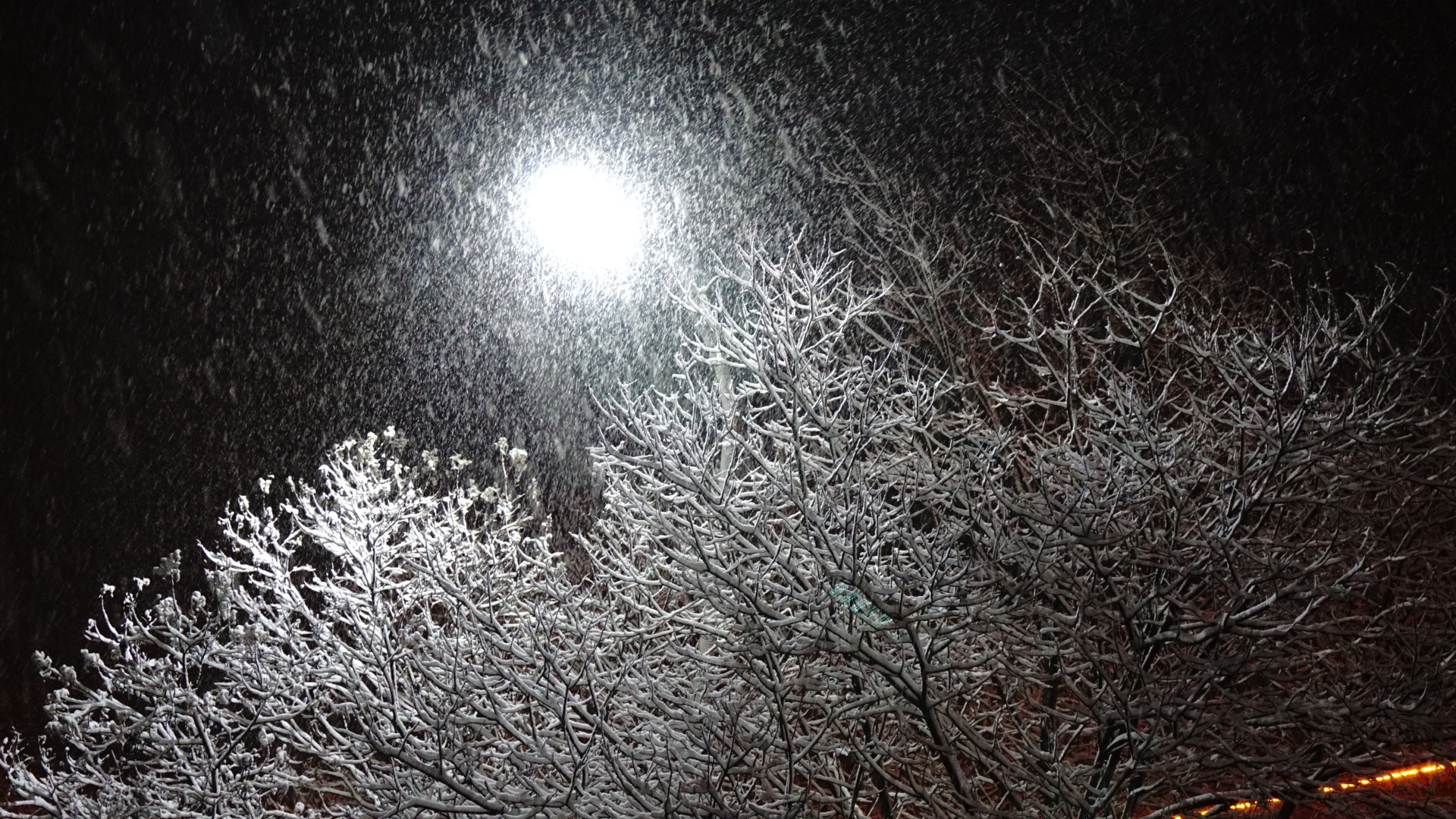 夜雪景图片真实图片图片
