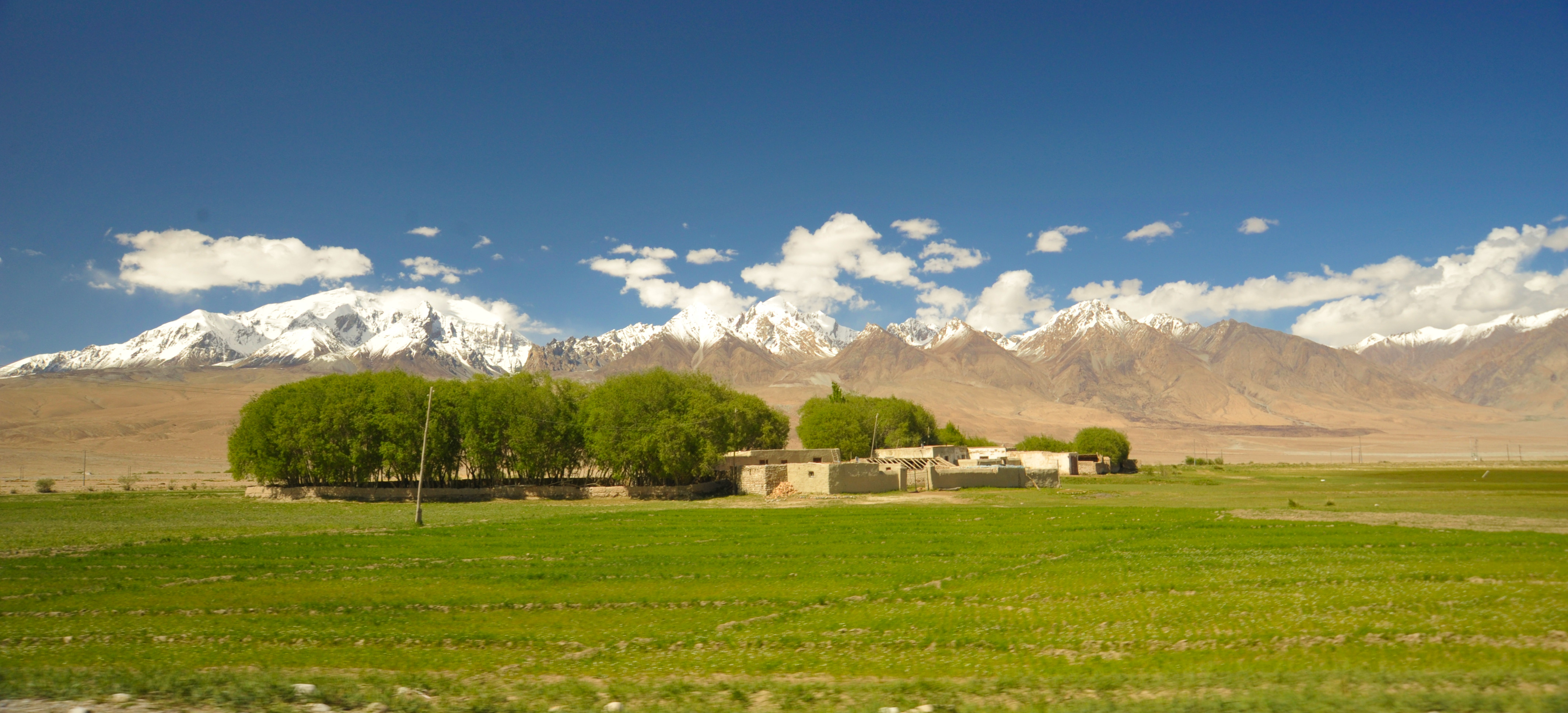 昆仑山下五色草原