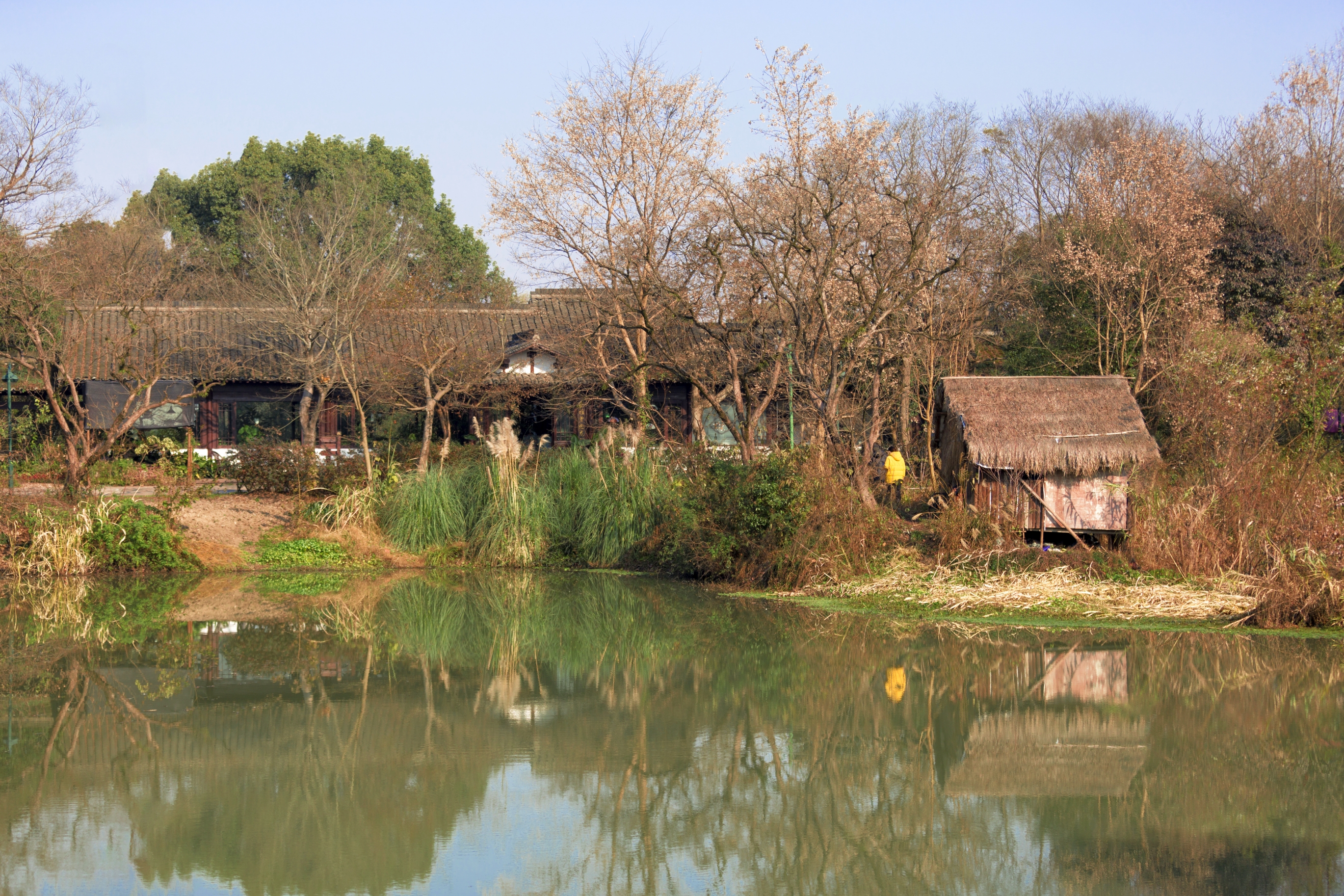 首发冬日印象之西溪湿地