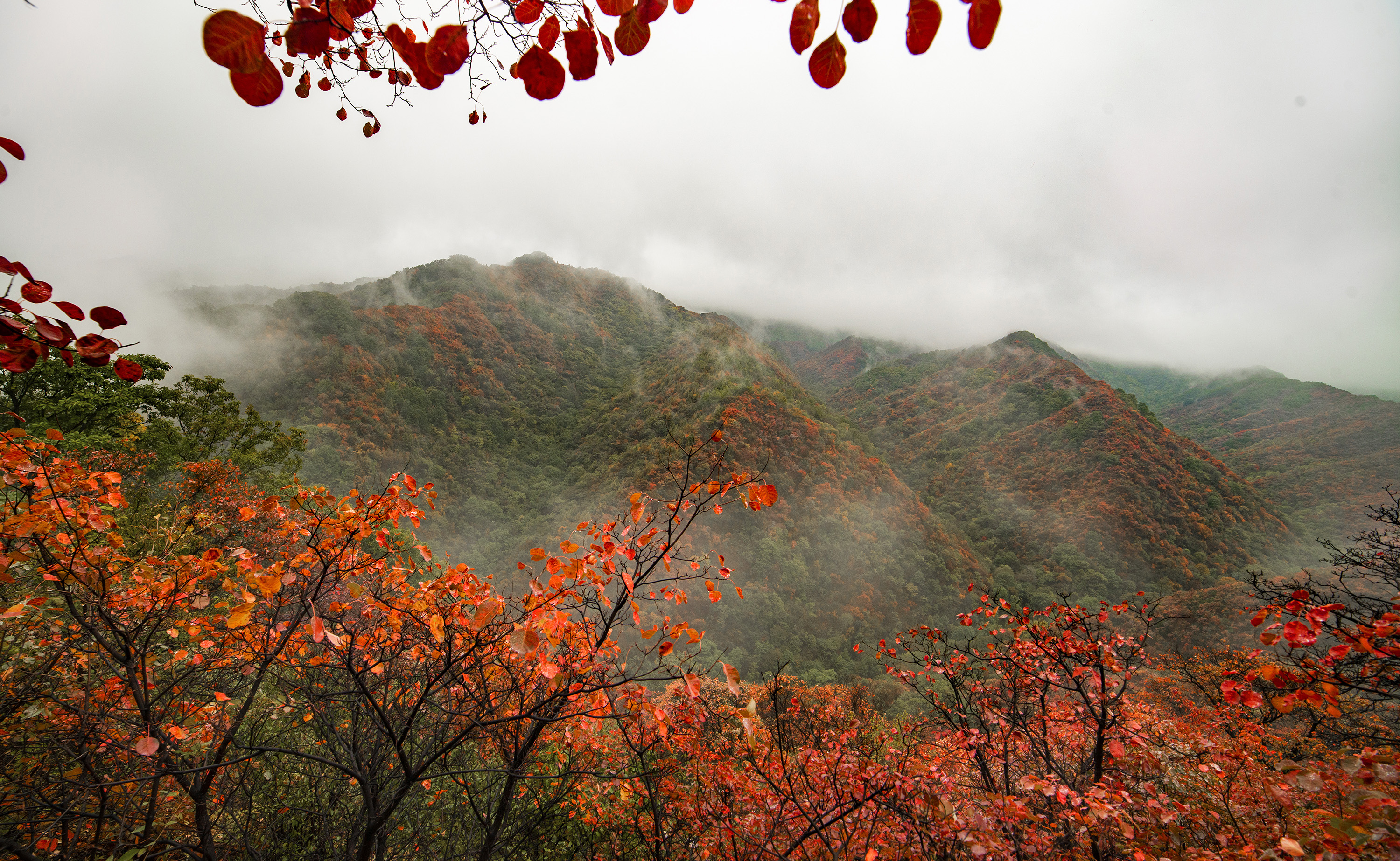 三门峡甘山森林公园位于三门峡市陕县南部窑店林场境内,景区