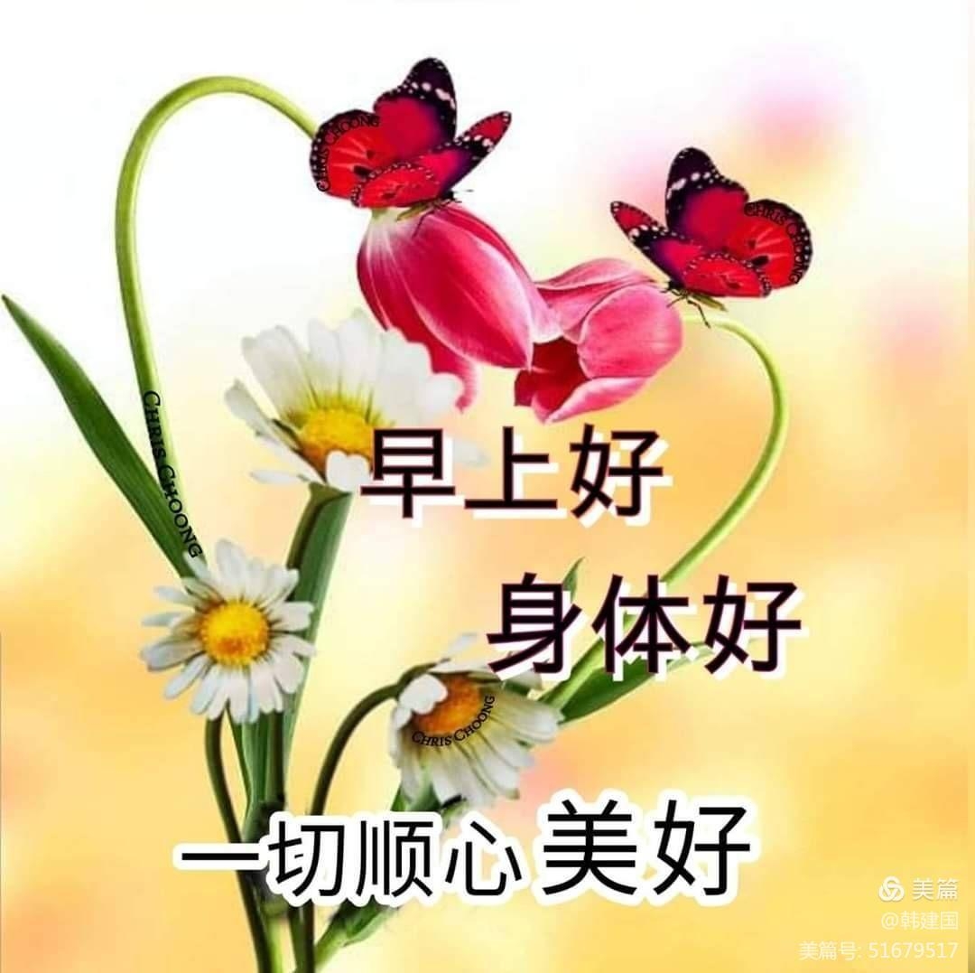 问候你一一一问候语集锦(八)