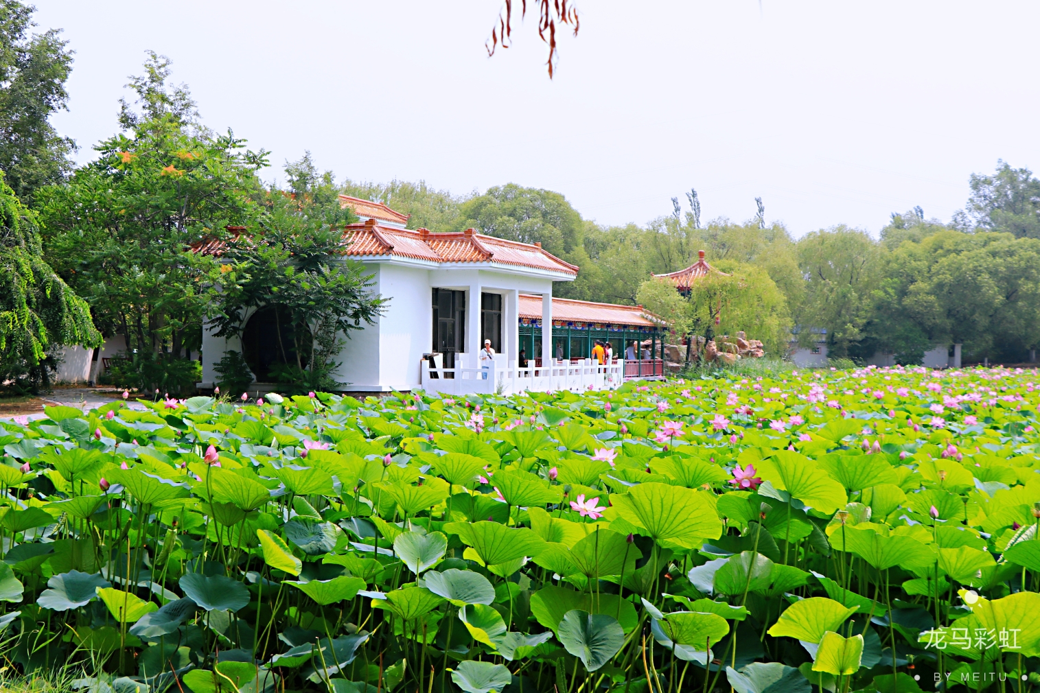 盤錦湖濱公園