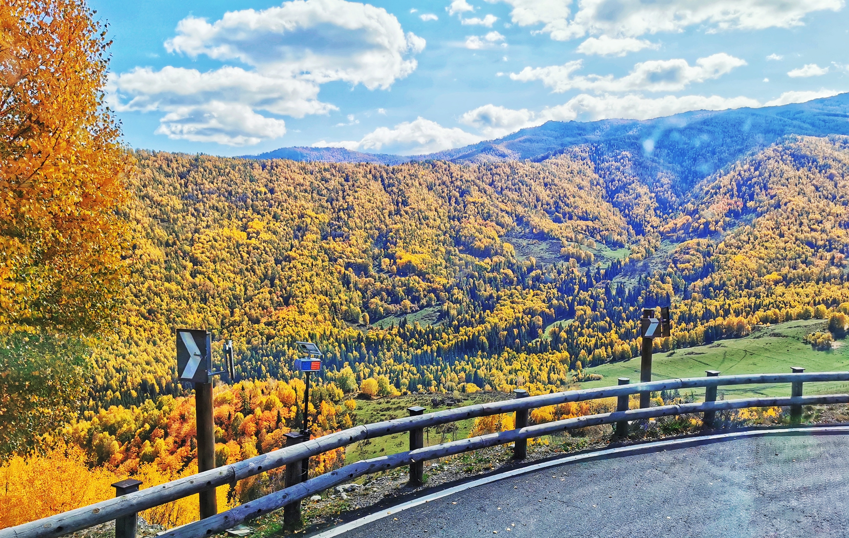 金秋金秋最美的风景在路上