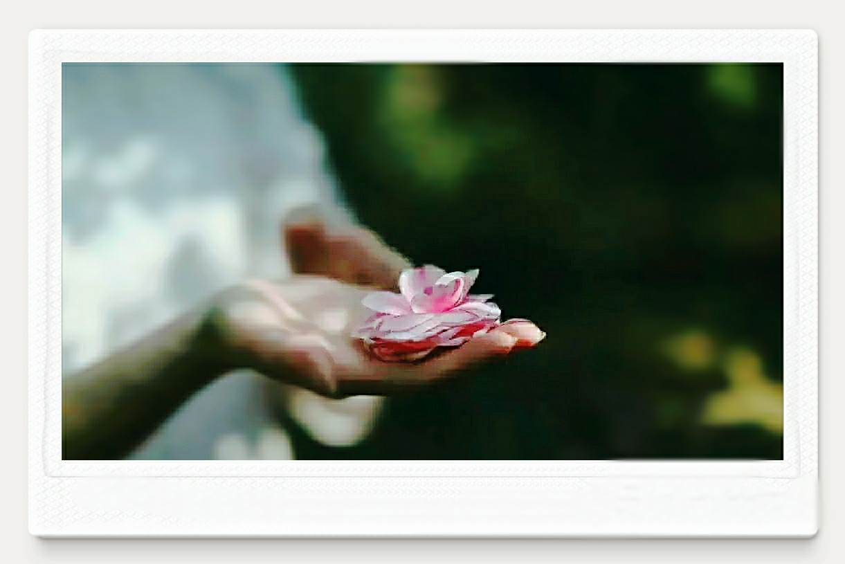 禅心若水,清净如莲