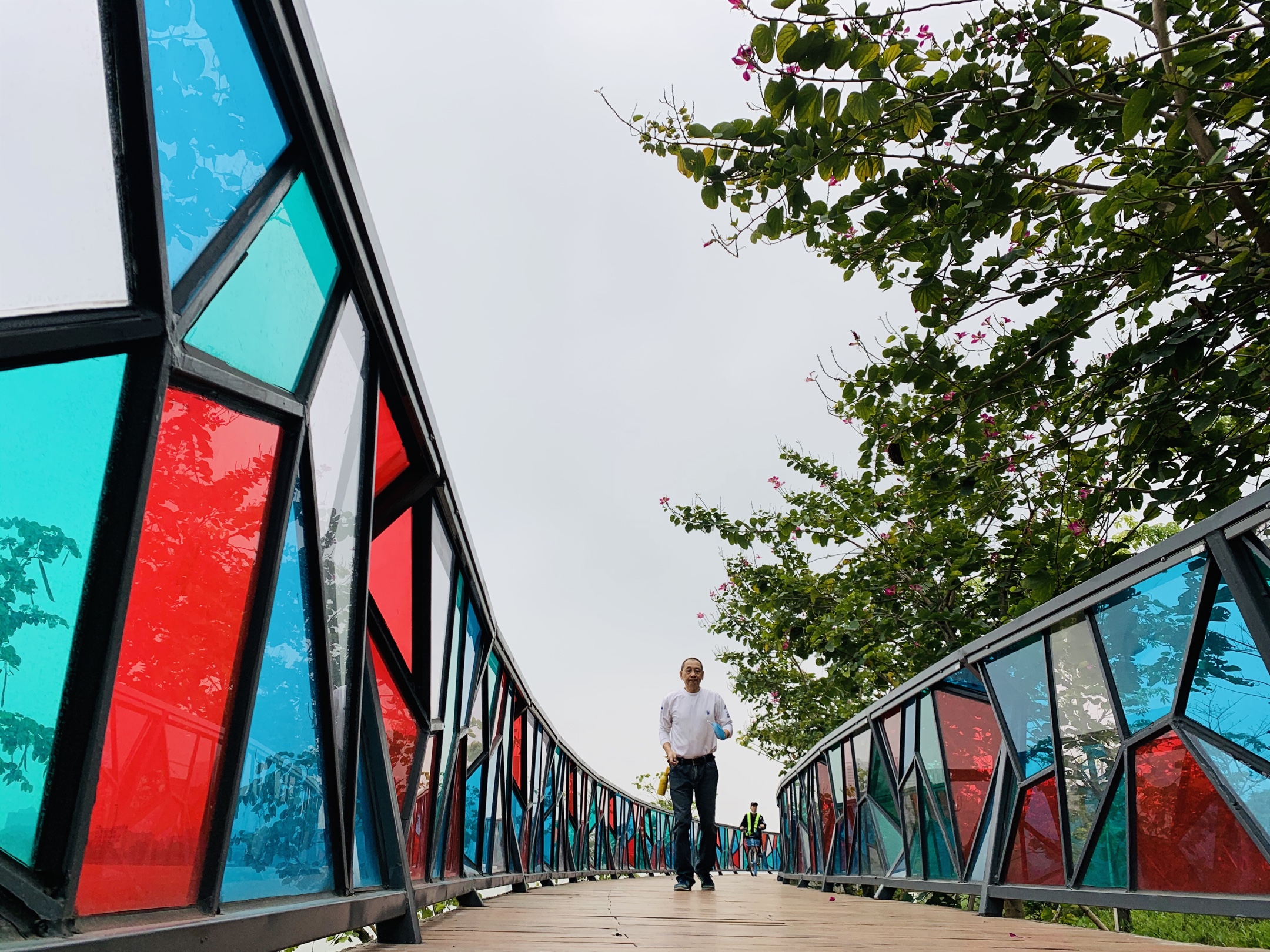 顺德中轴线公园金凤凰