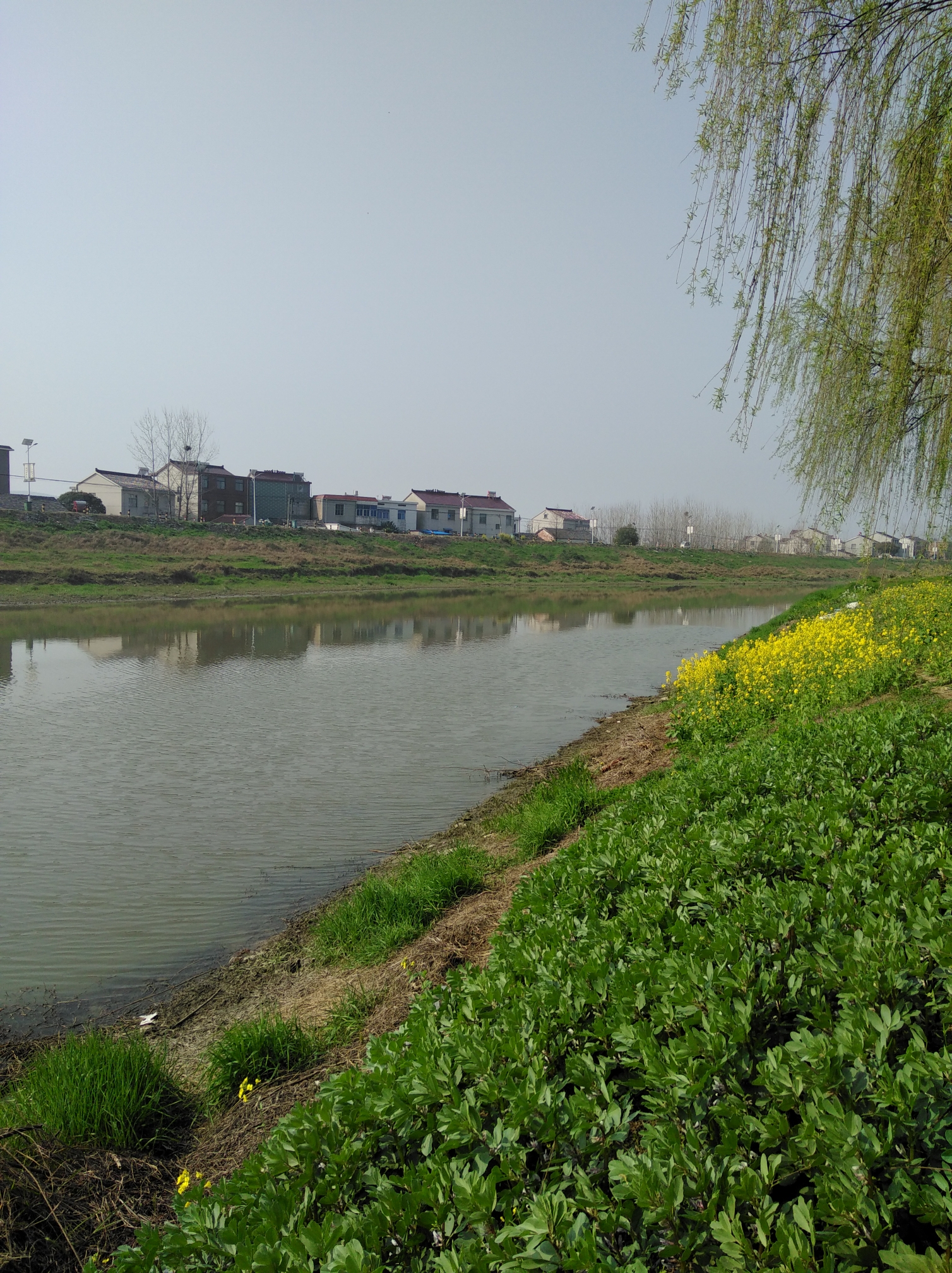 我的母亲河一一得胜河文/编辑/制作/毛子