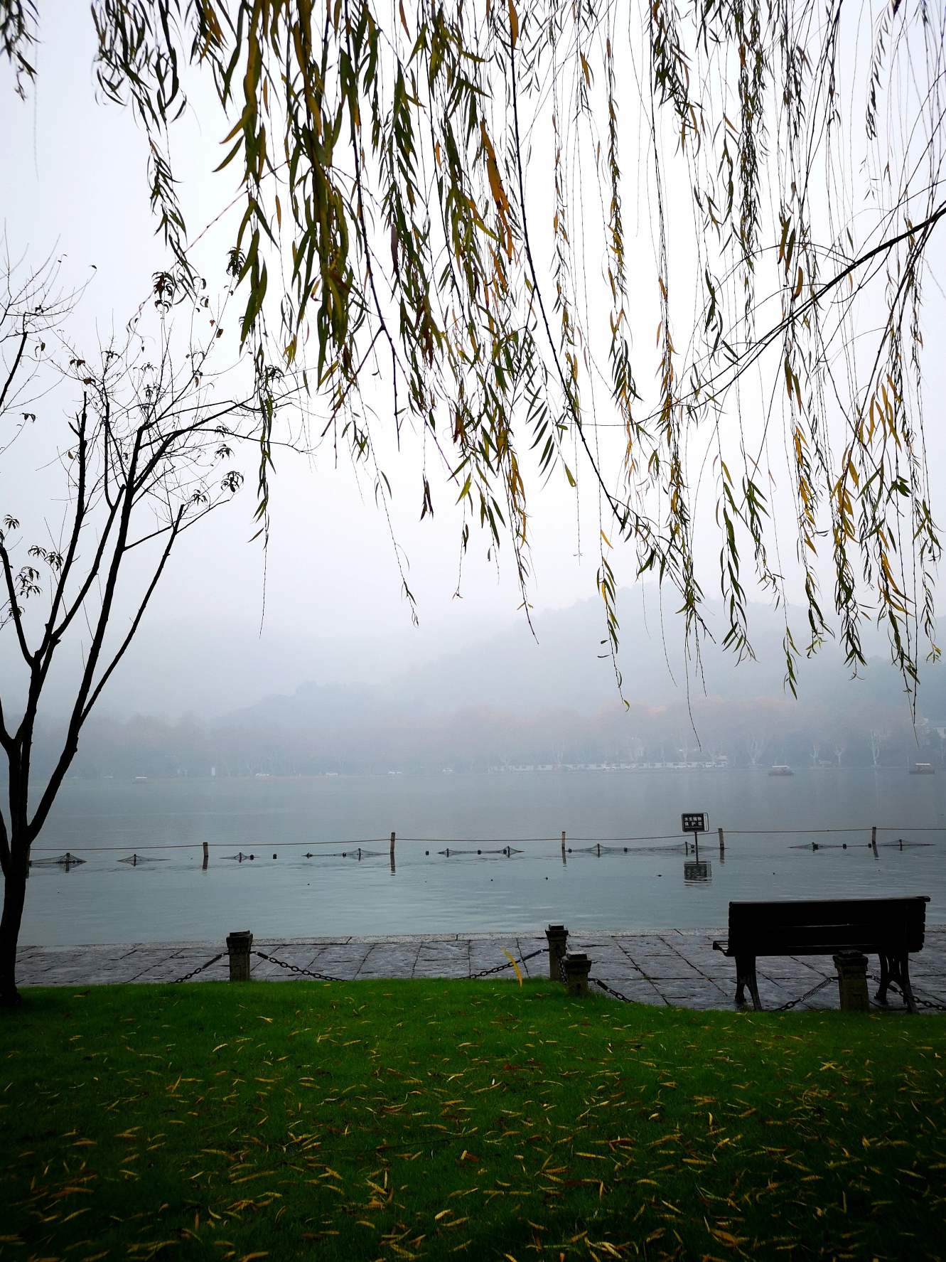 烟雨朦胧雨西湖