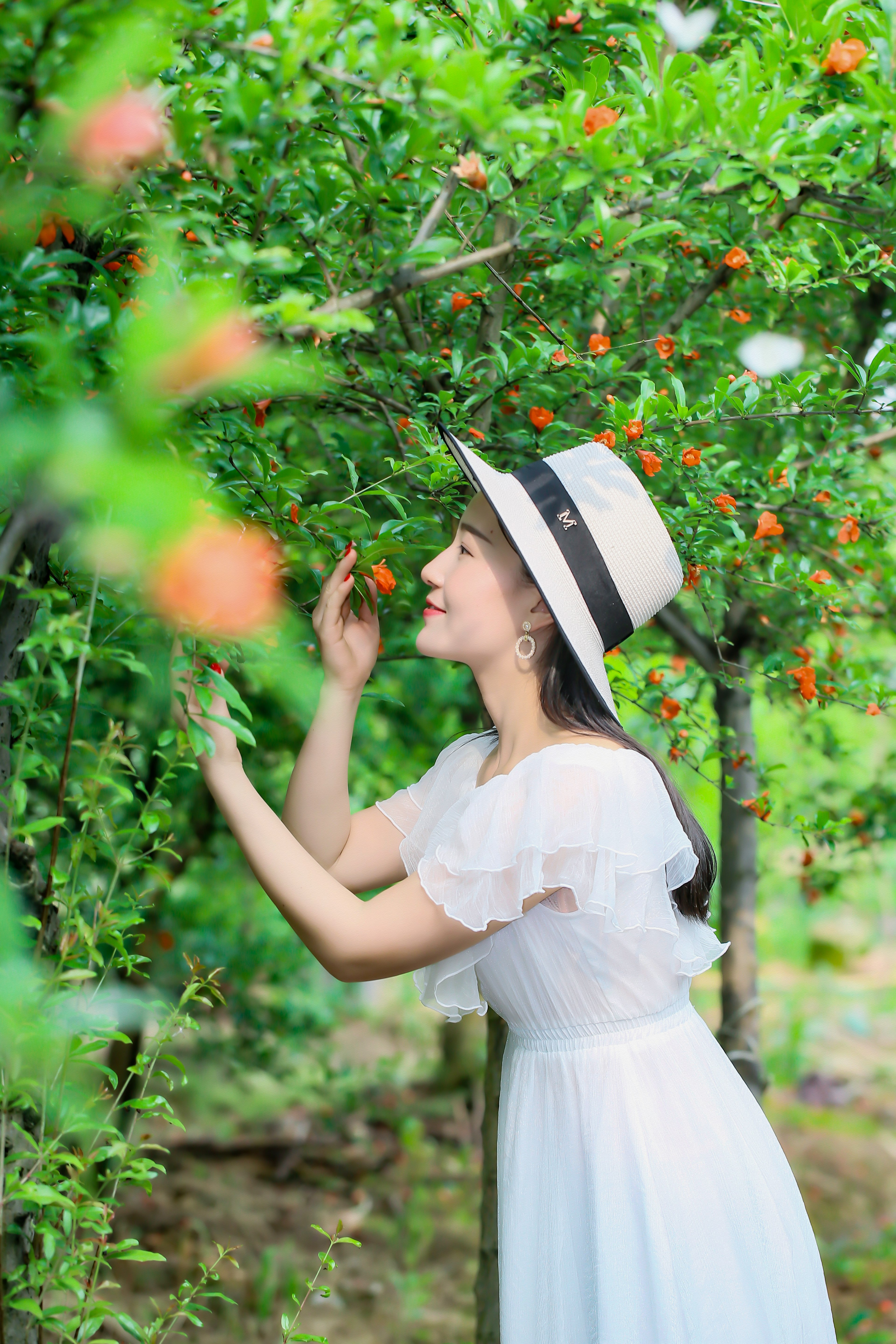 五月石榴花开