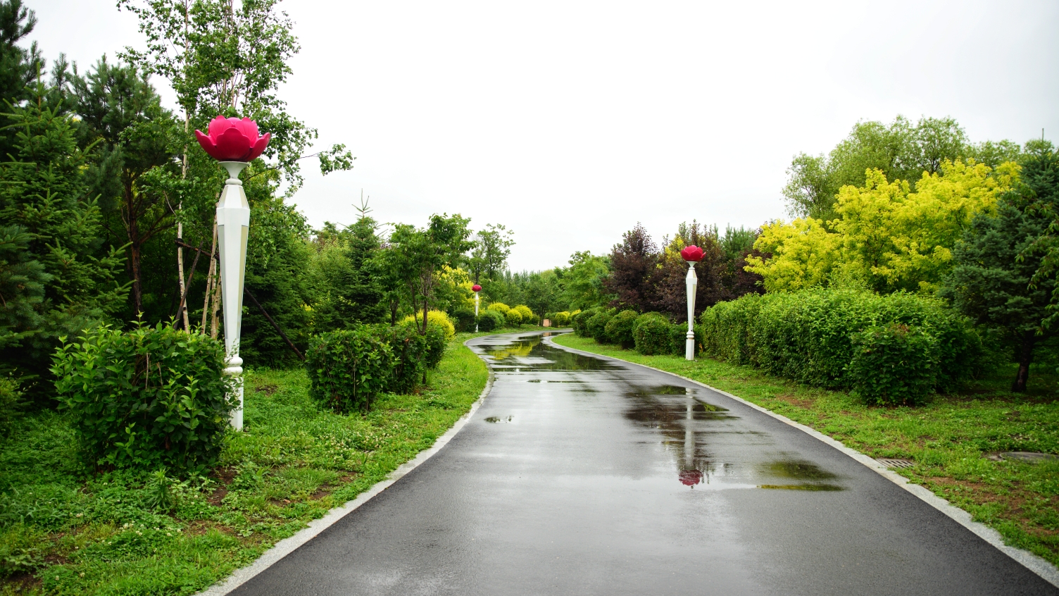 雨后建三江植物园