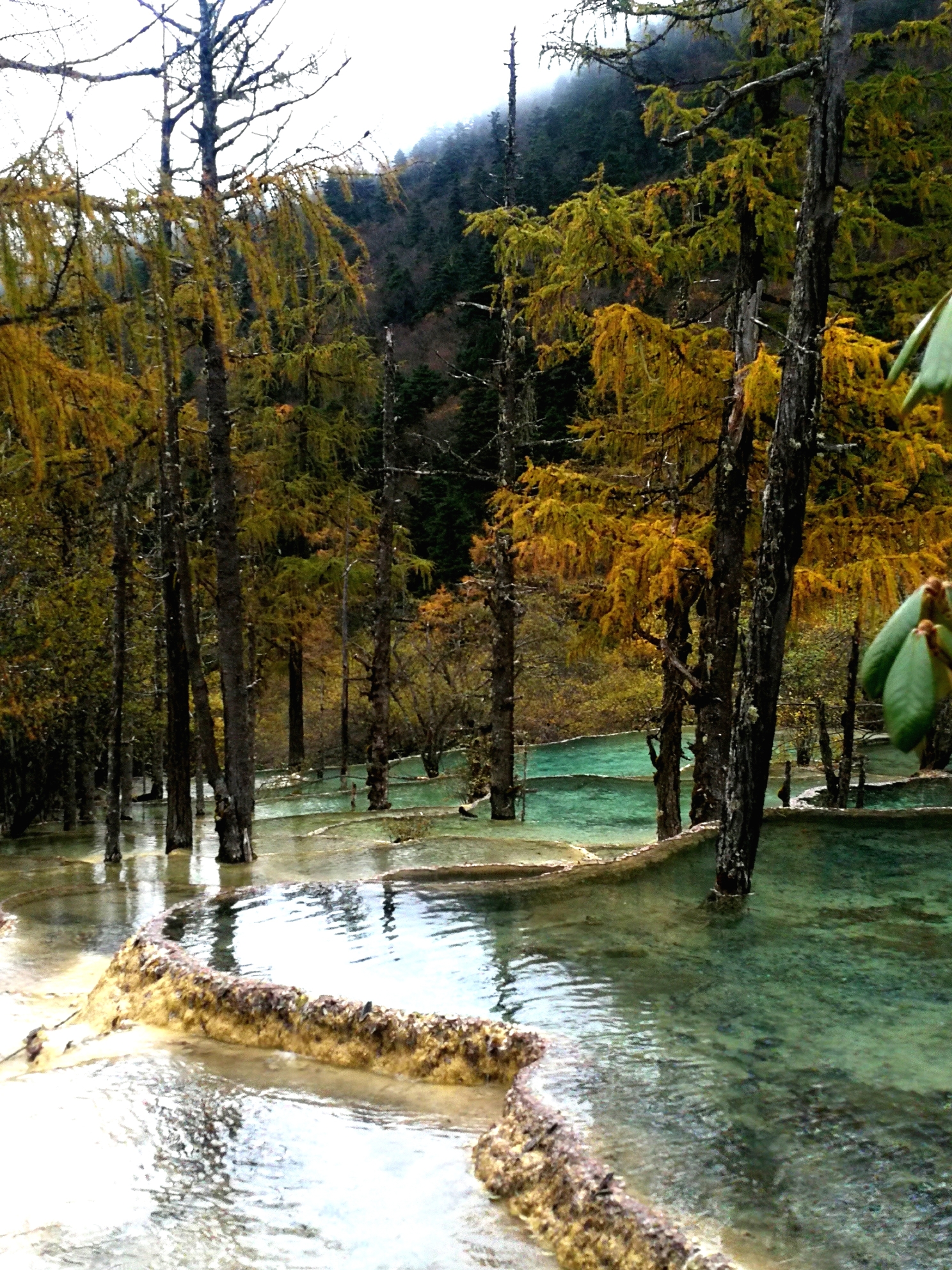 四川黄龙风景区
