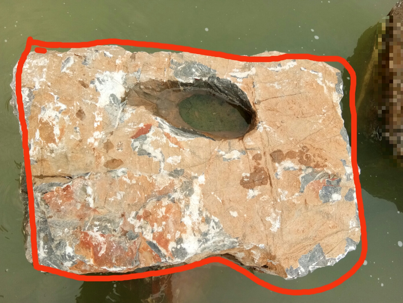 泉眼无声惜细流