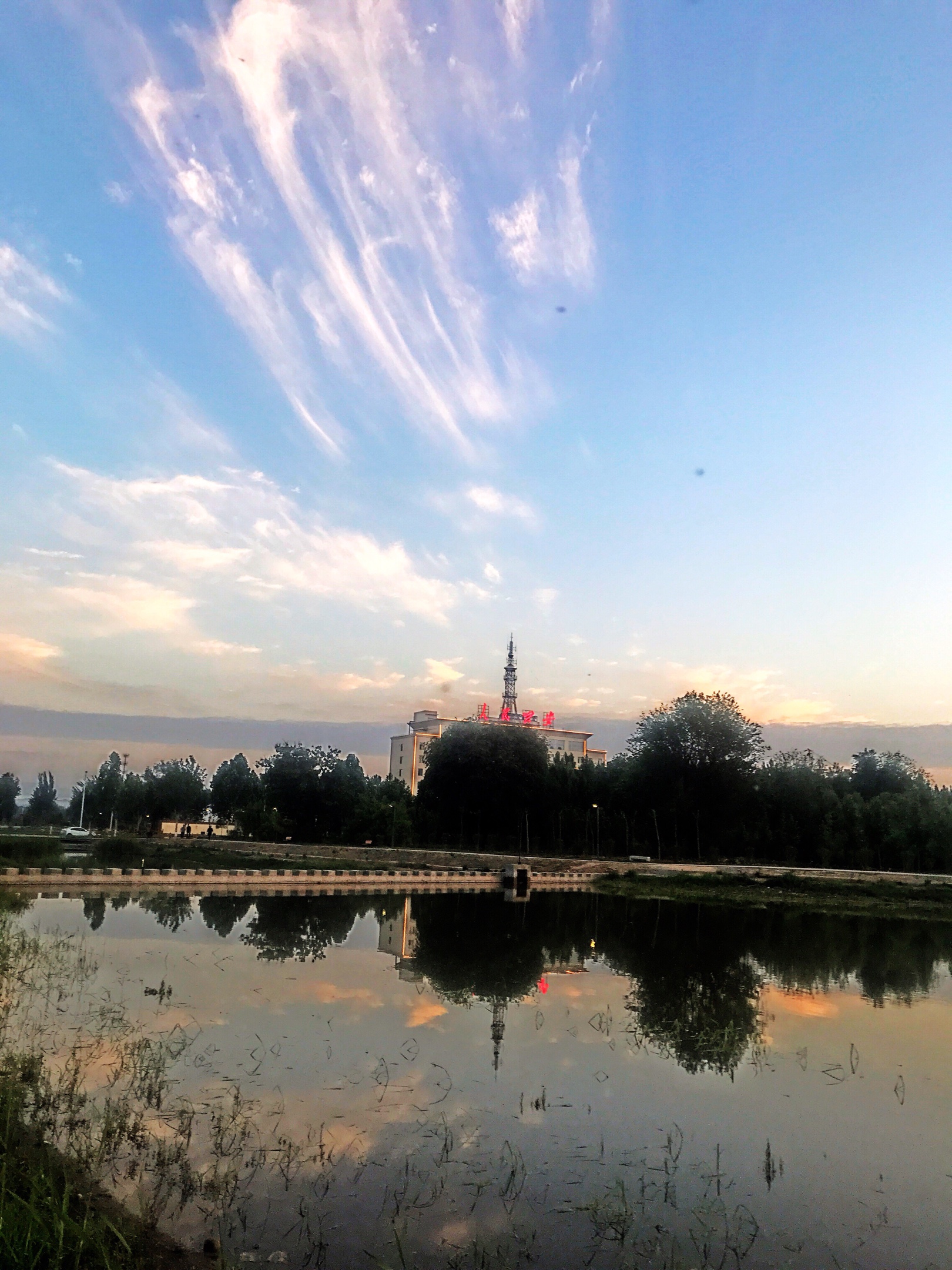 稷山县城城东公园随拍(手机照片)