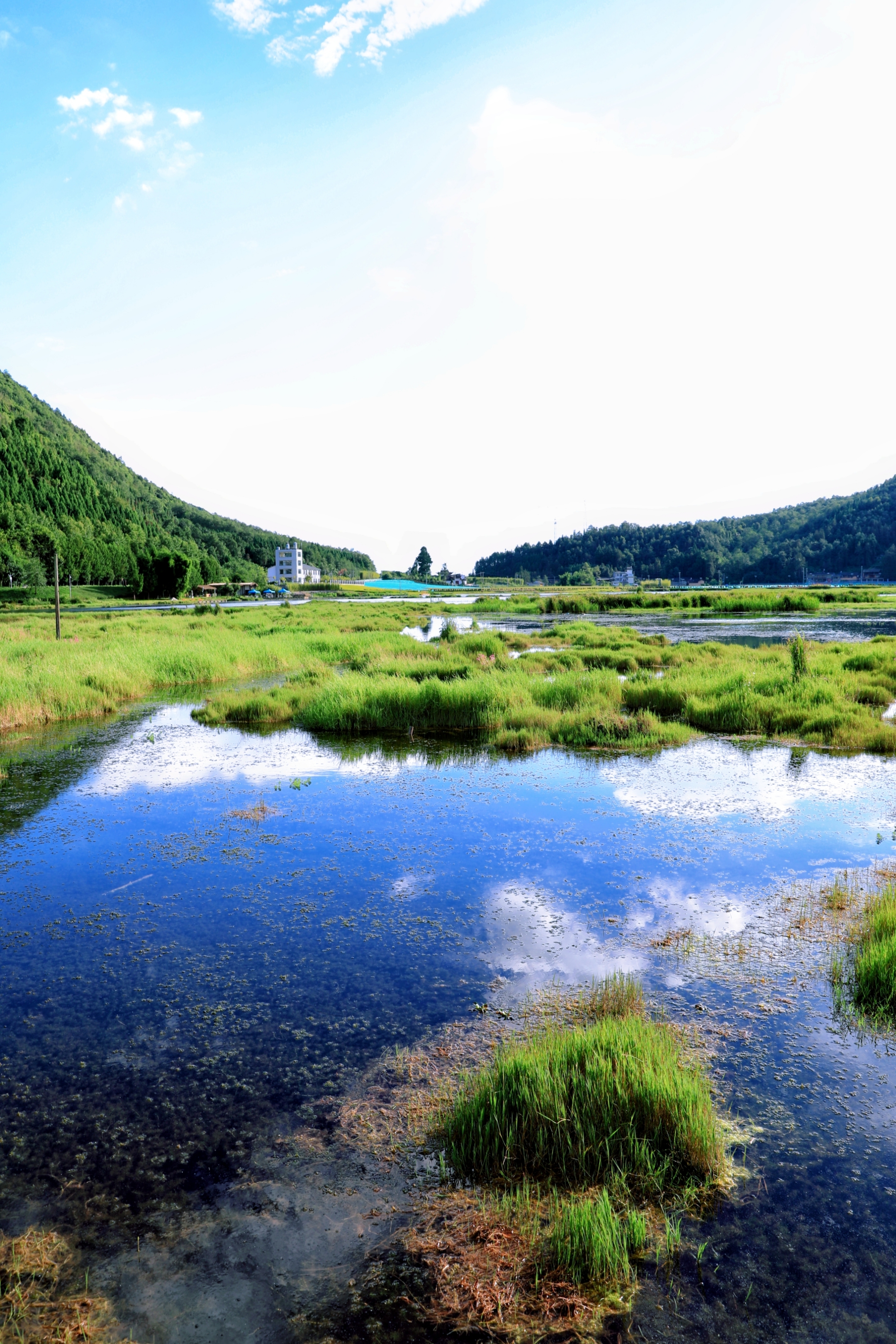 云南腾冲湿地风光