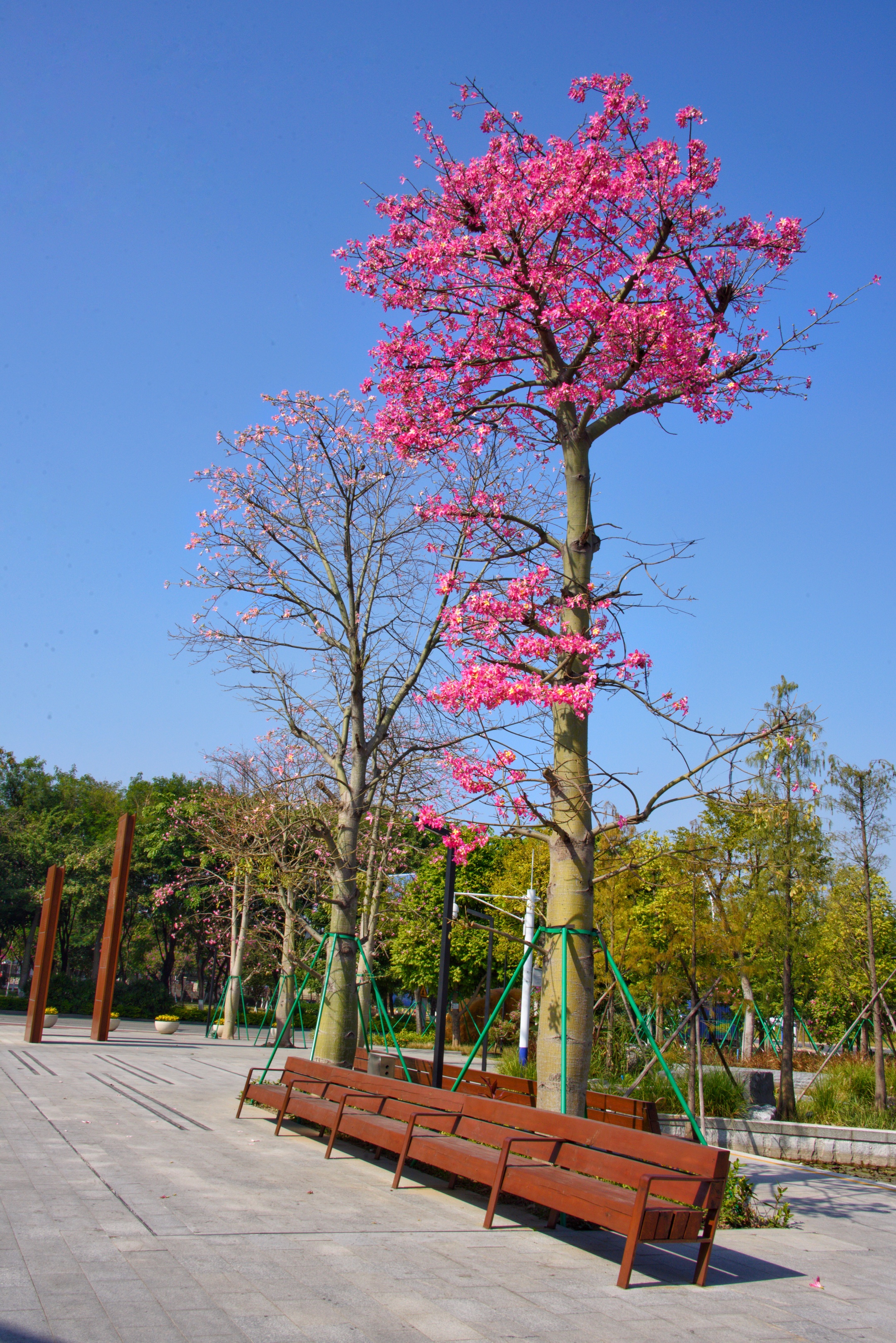 三山森林公园首发