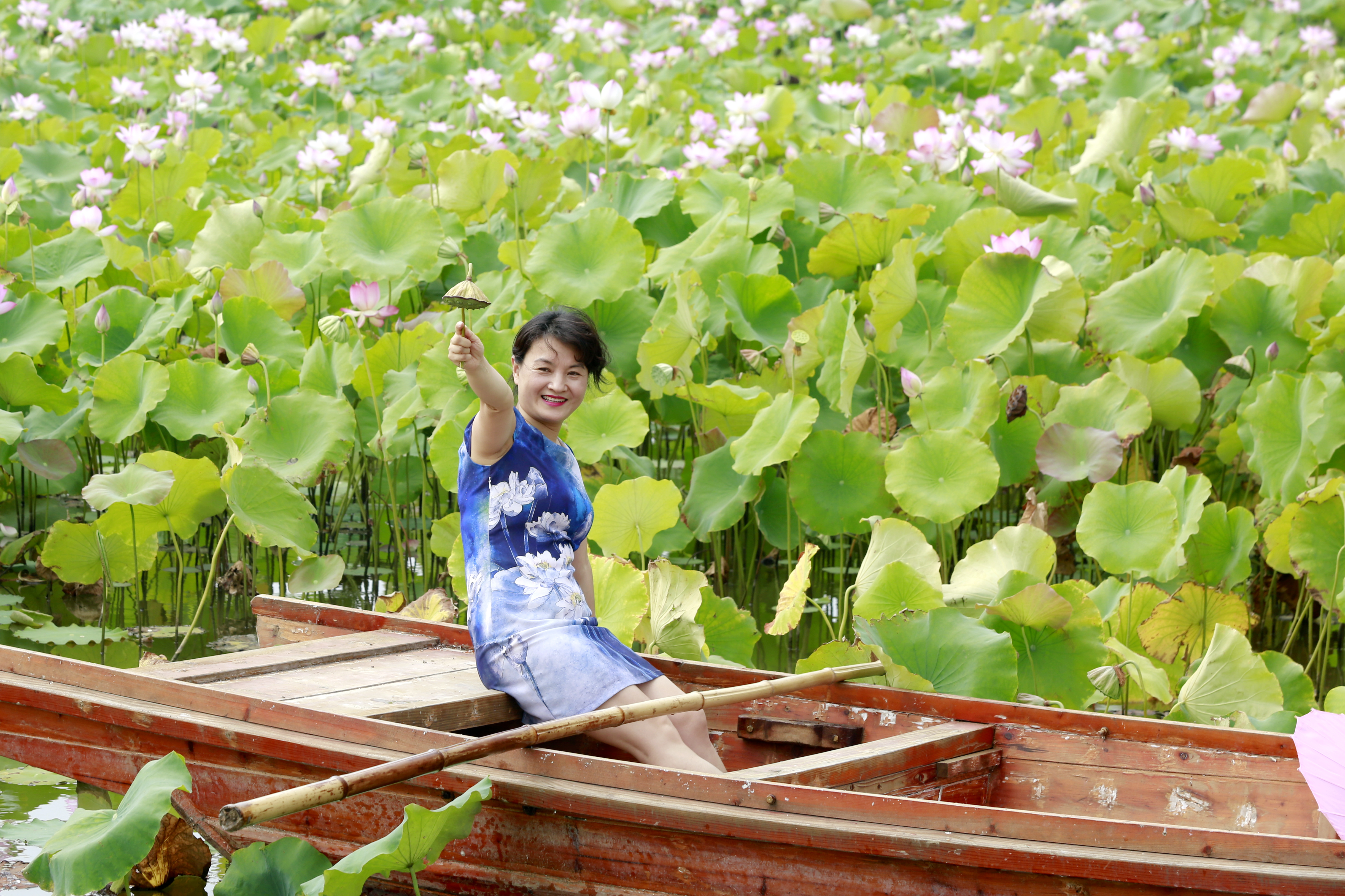 荷塘弄舟采莲女荷叶荷裙相映色