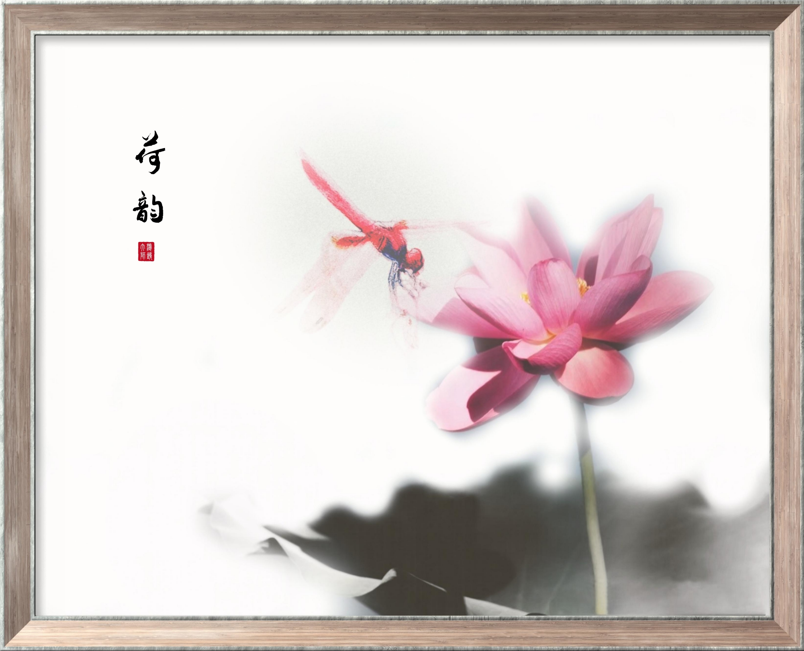 画意之美五水墨荷花