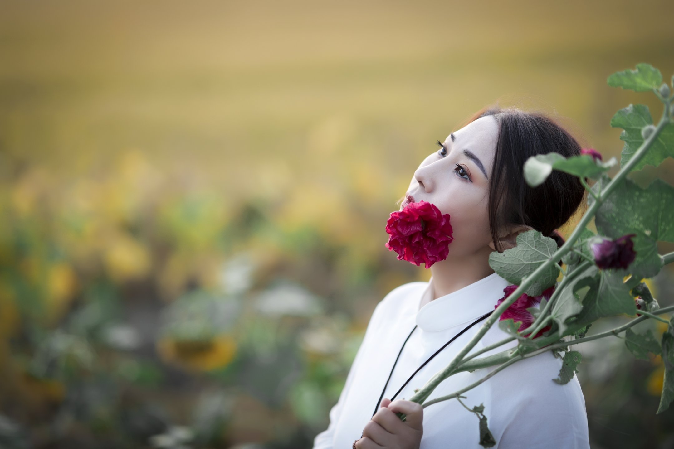 女人三十一枝花原創首發