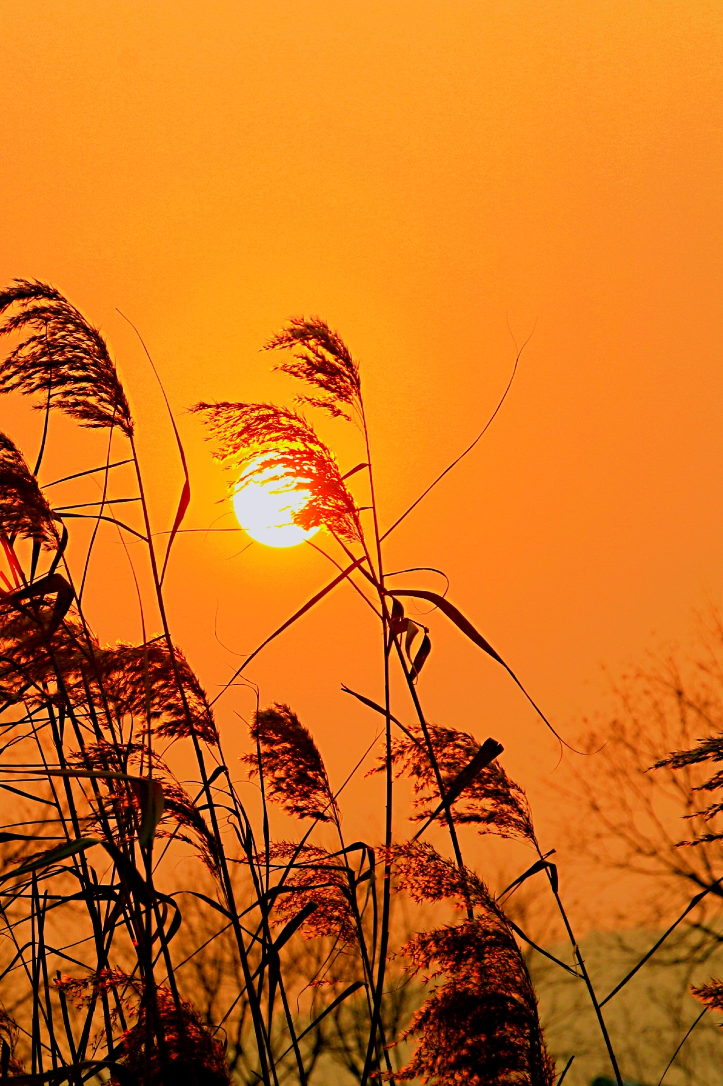 [文声汇影]微信7,8,9,10群摄影风景合辑第三十三期