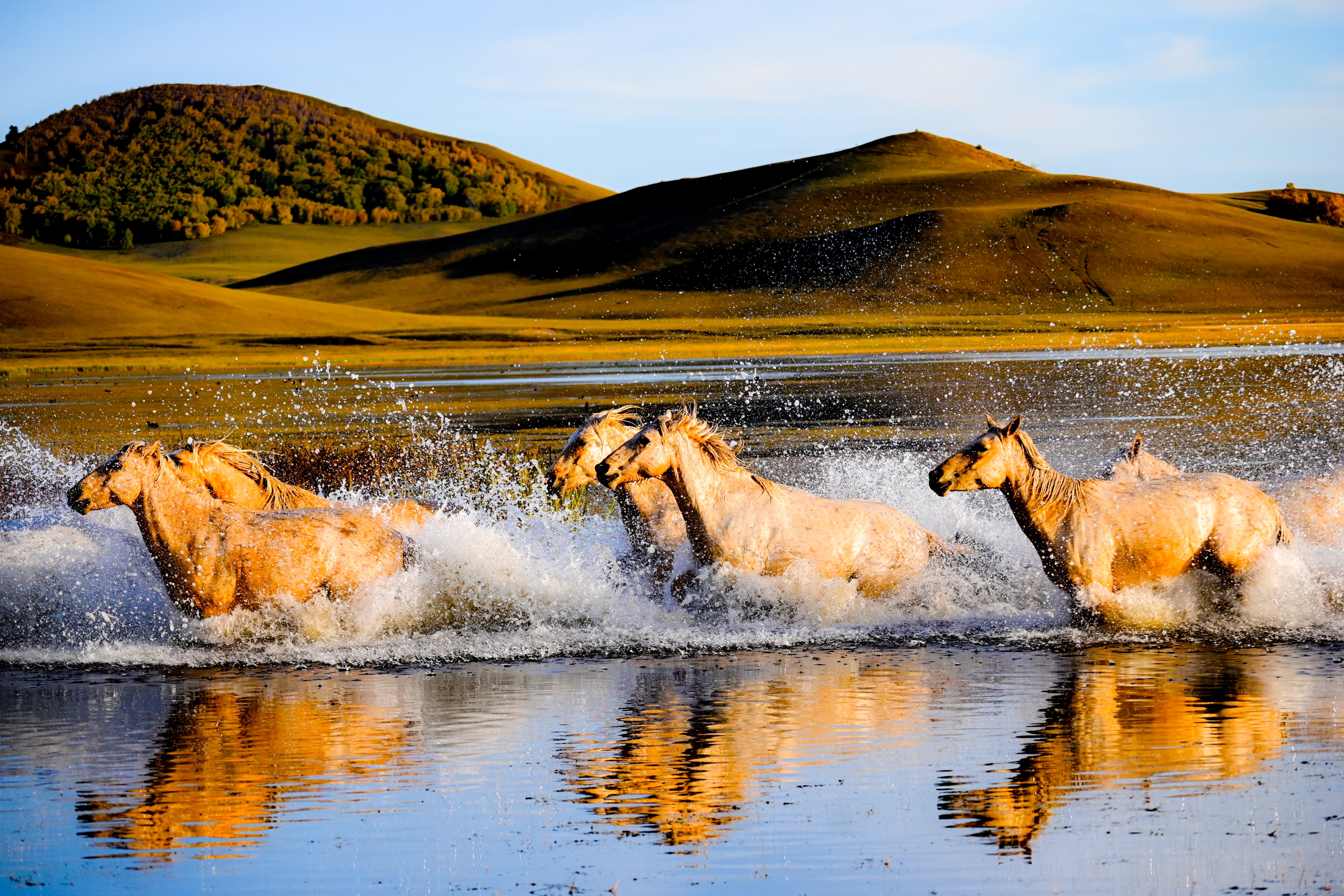 《马踏水花》摄影:浩然正气