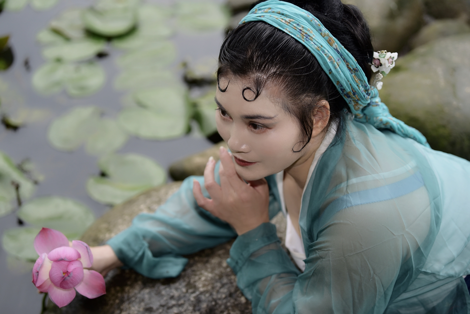 拍摄:杨欣菲爷爷  chxy             可乐蛇   laodage刘 出镜:安妮