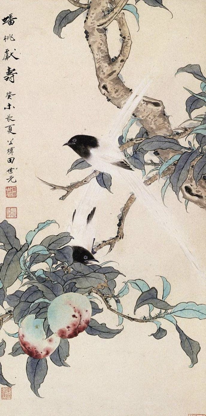 工笔画大师田世光花鸟画精选作品赏析