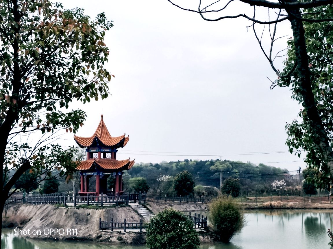 武漢龍泉山孝恩園地處風景秀麗的龍泉山風景區,被美譽為皇城