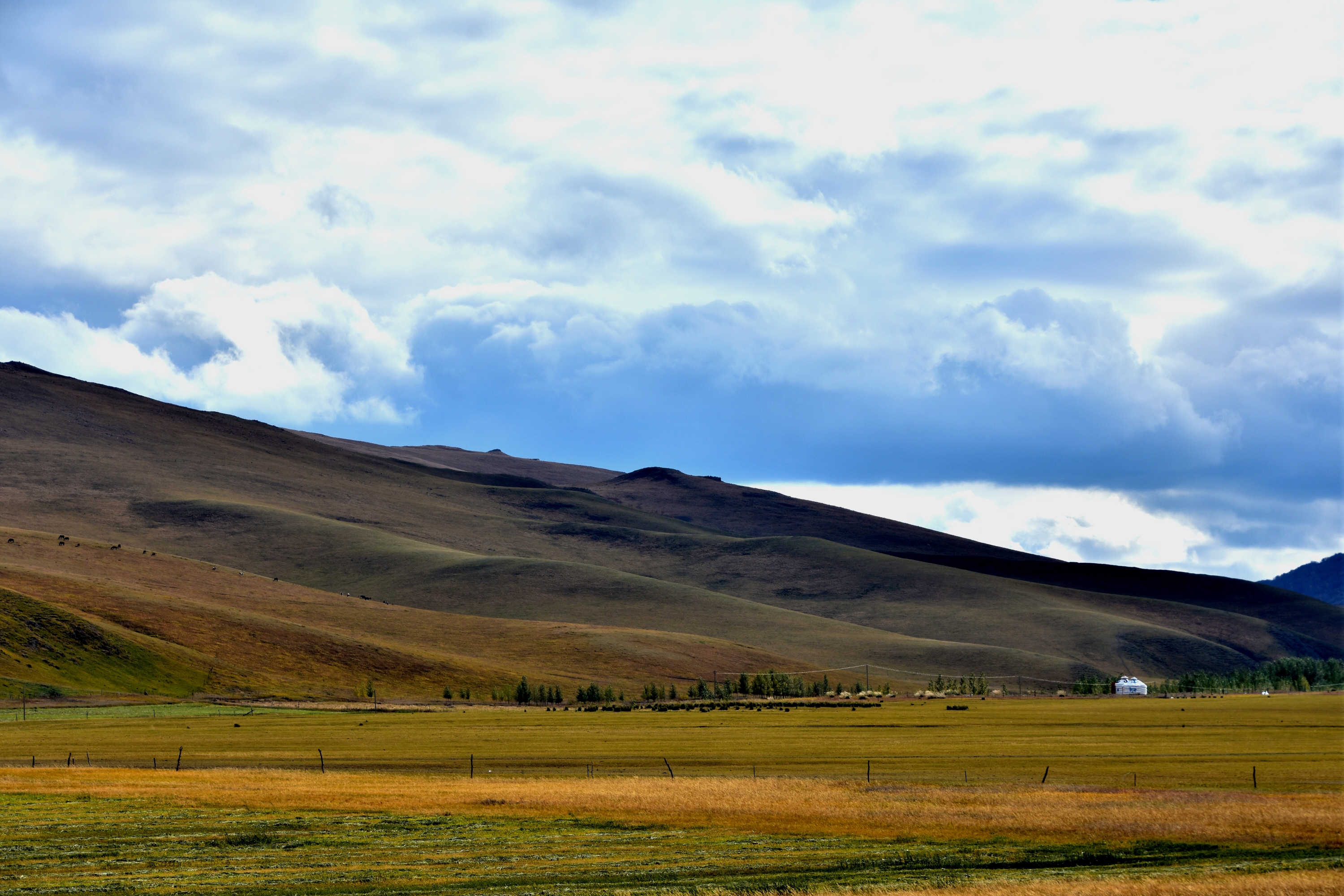荒漠草原及高寒草原等分类,如坝上草原与呼伦贝尔大草原,风格风景就各