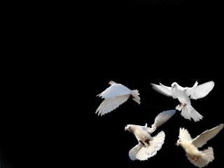 黄泉路,忘川河,三生石,望乡台,孟婆汤,奈何桥!