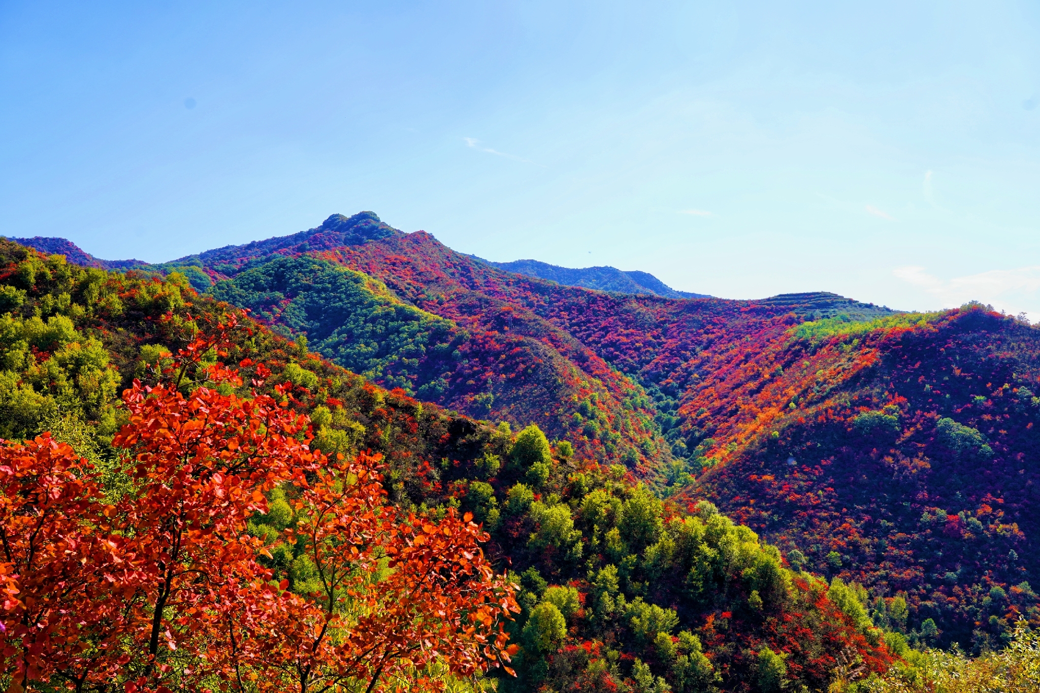 早上七點半出發九點到達寺河鄉坡跟村,兩邊山樑梁山坡坡到處紅葉彤彤