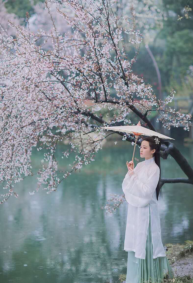 【多情又是桃花雨】