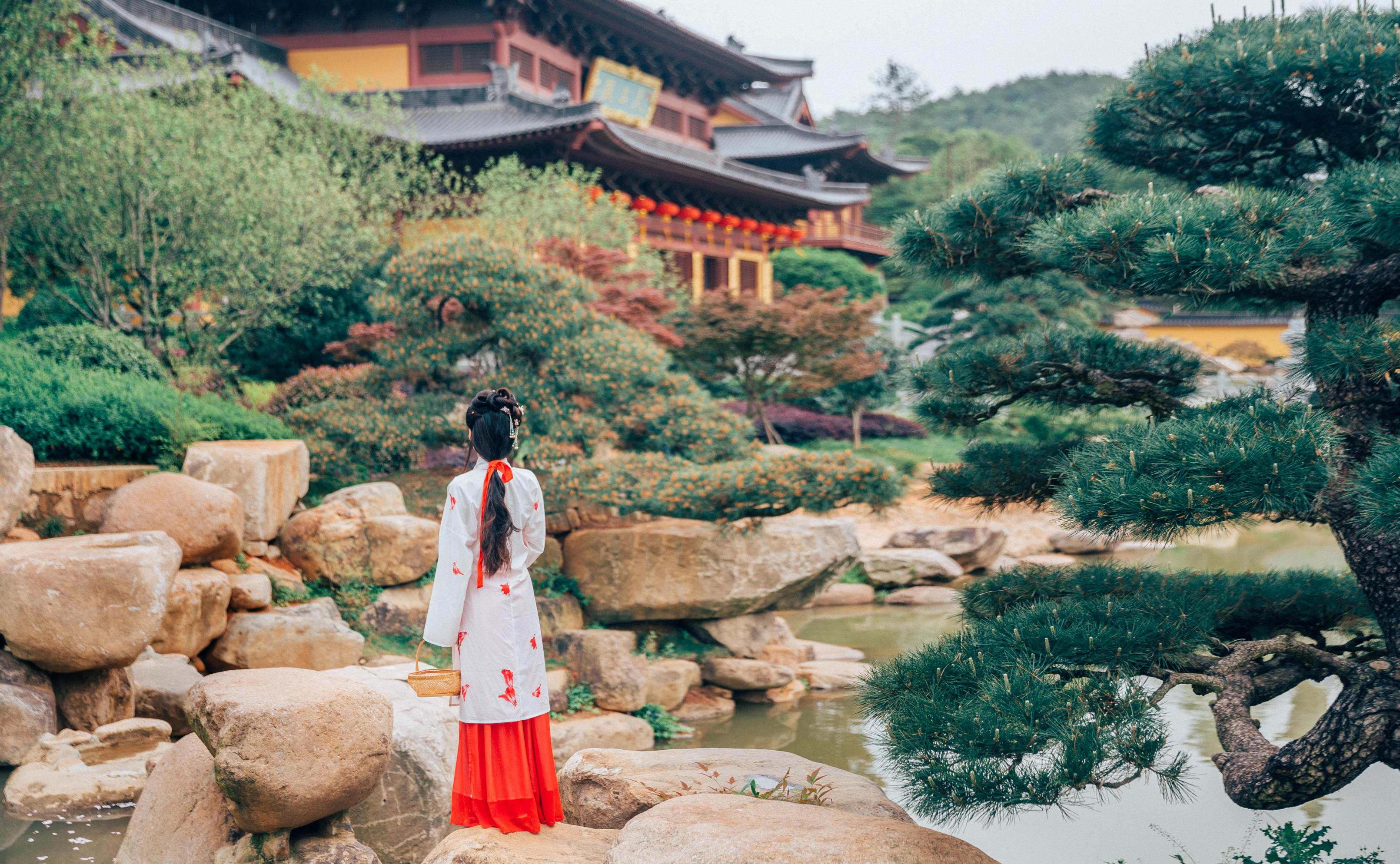 林黛玉葬花场景图片