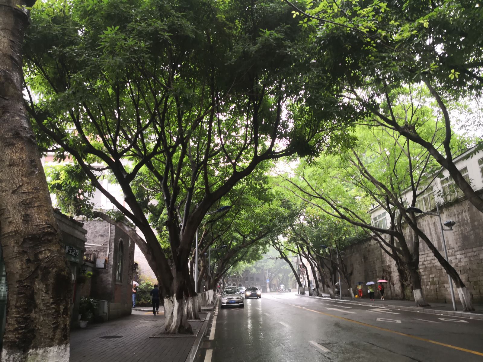 重慶走中山四路 訪雨中桂園[首發]