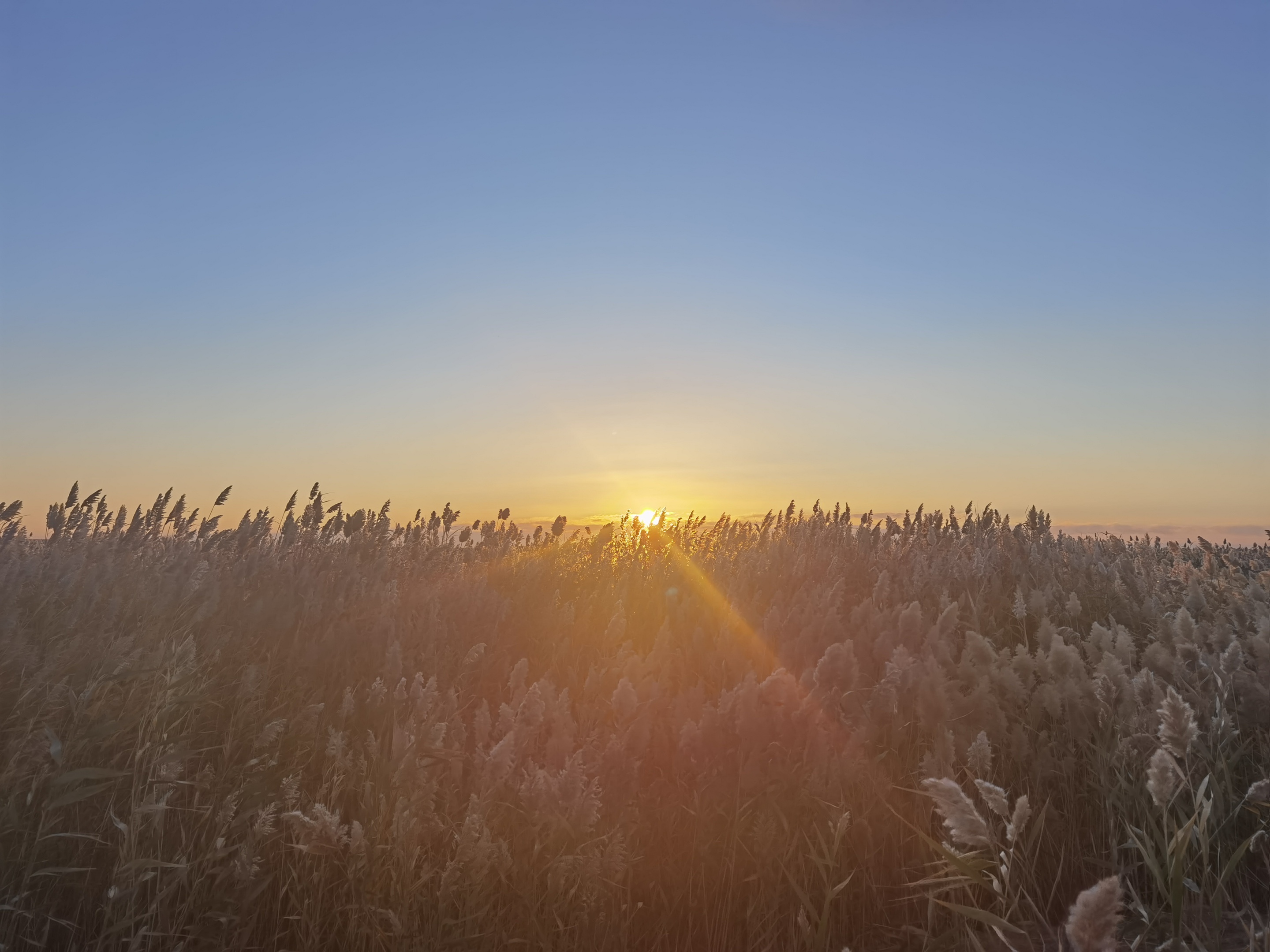 【首发】随笔|希望之光