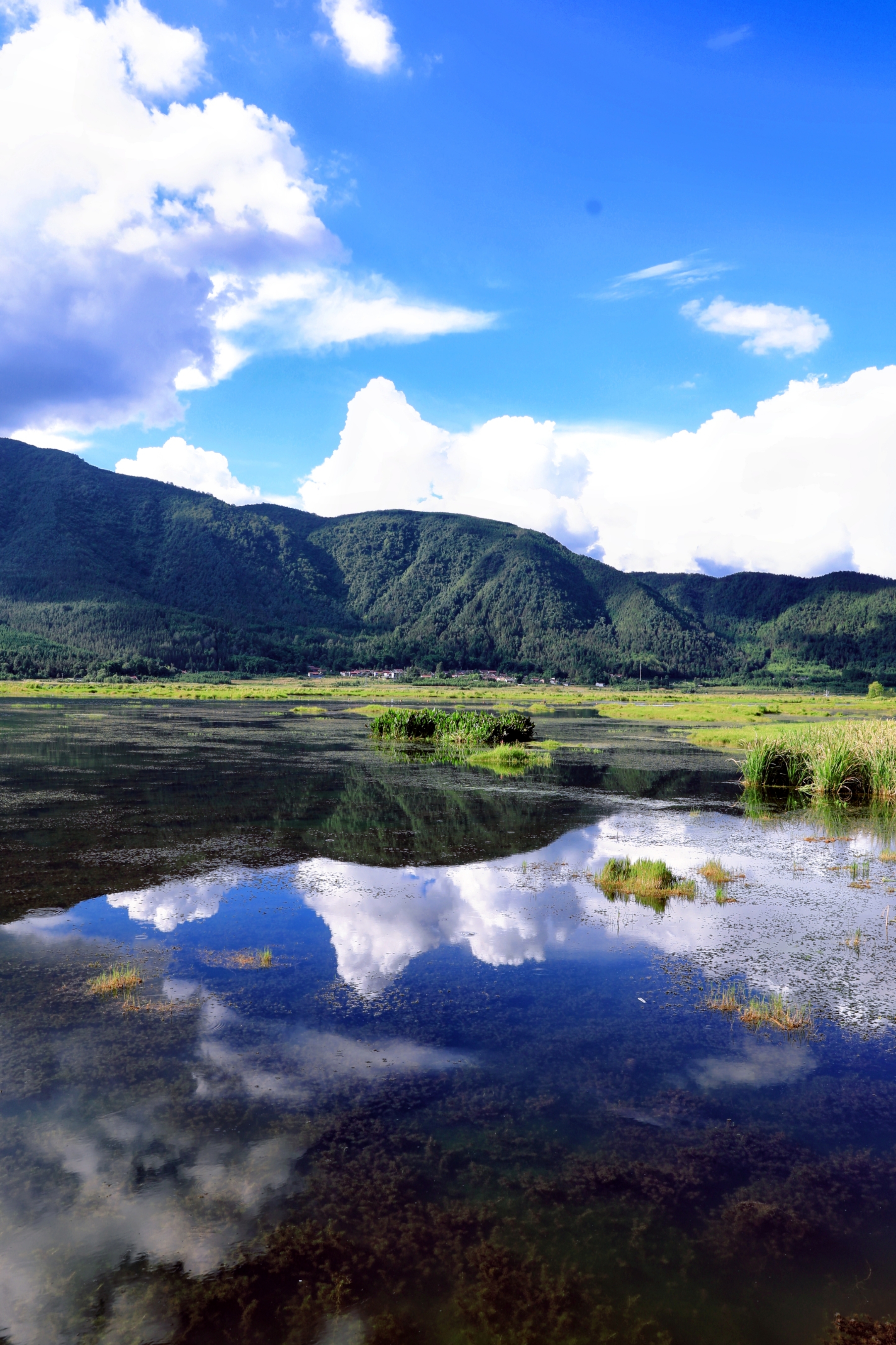 云南腾冲湿地风光