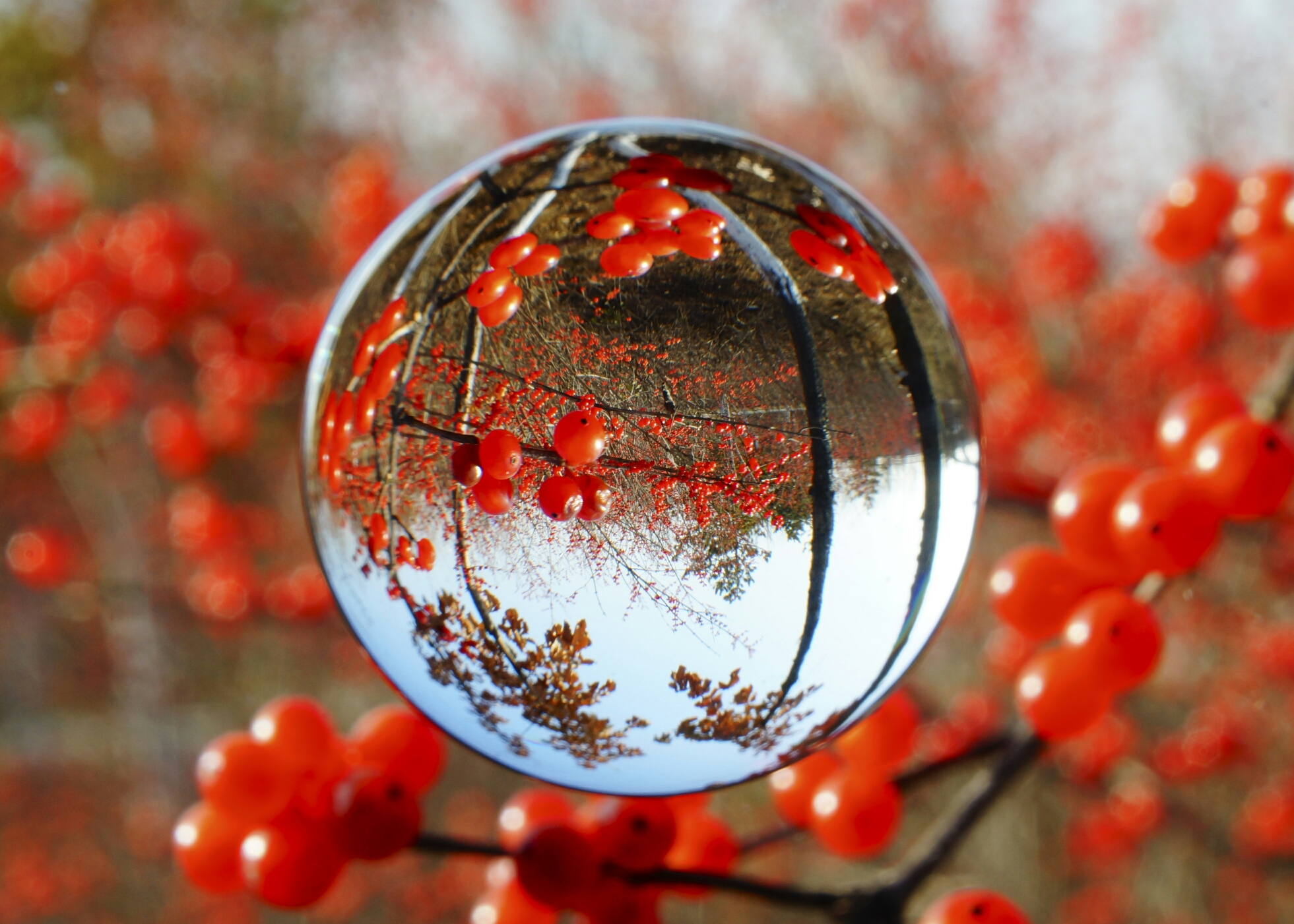 迷人的水晶倒影摄影:高秀明2018.11.19