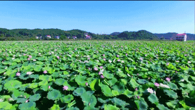 400_225gif 动态图 动图