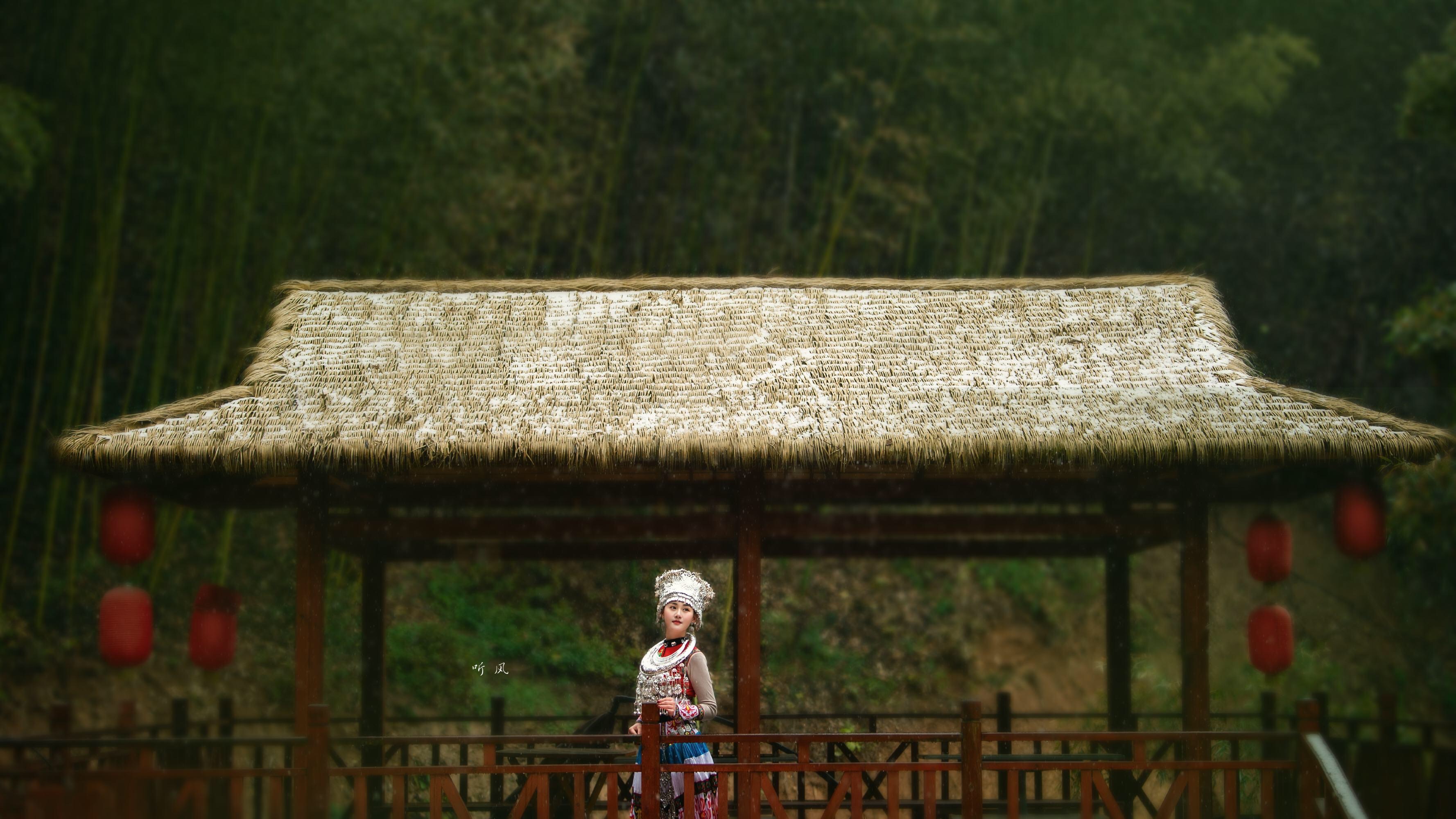 竹林听风(vv首发)