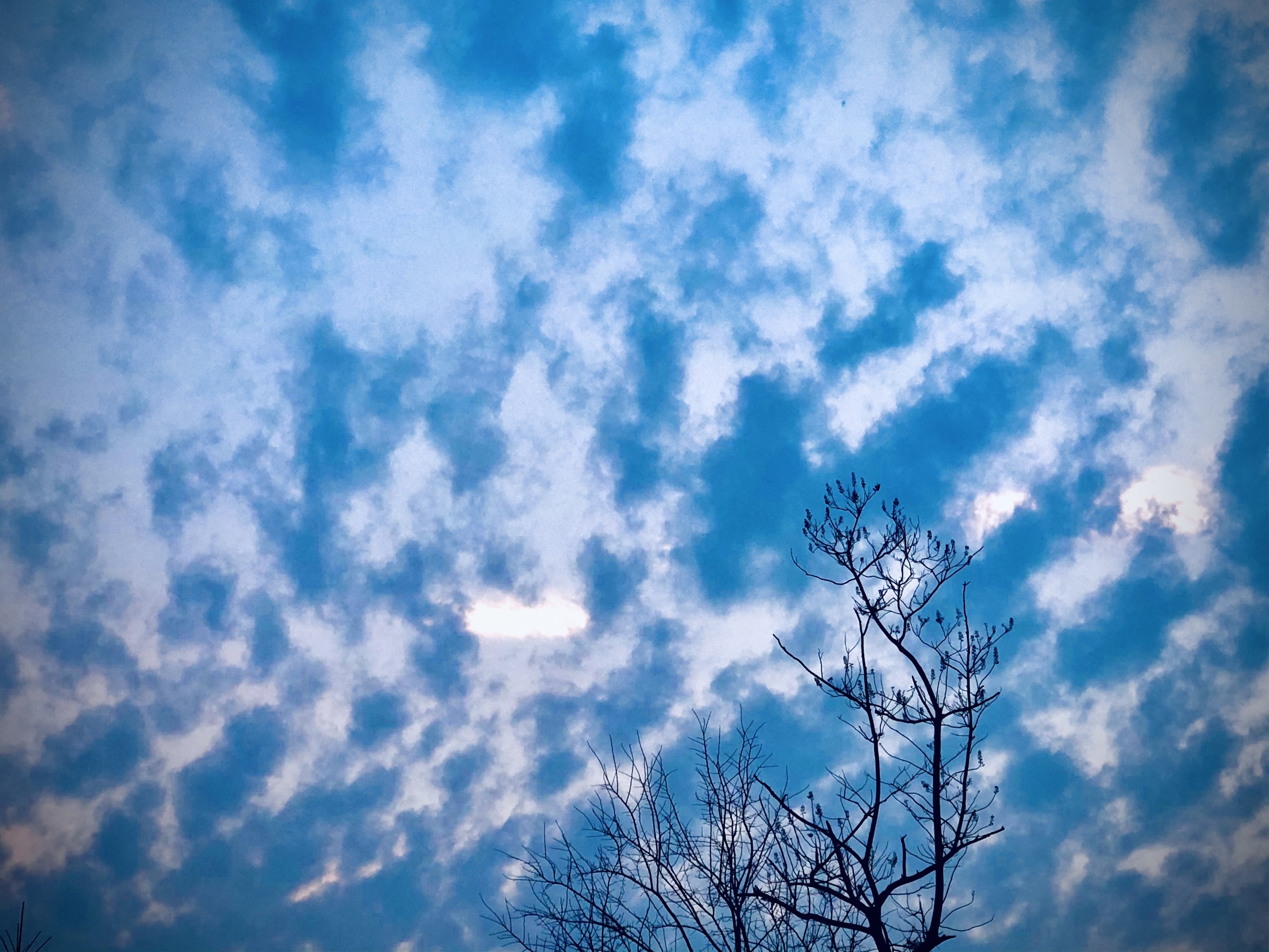 如果云在天堂里原创