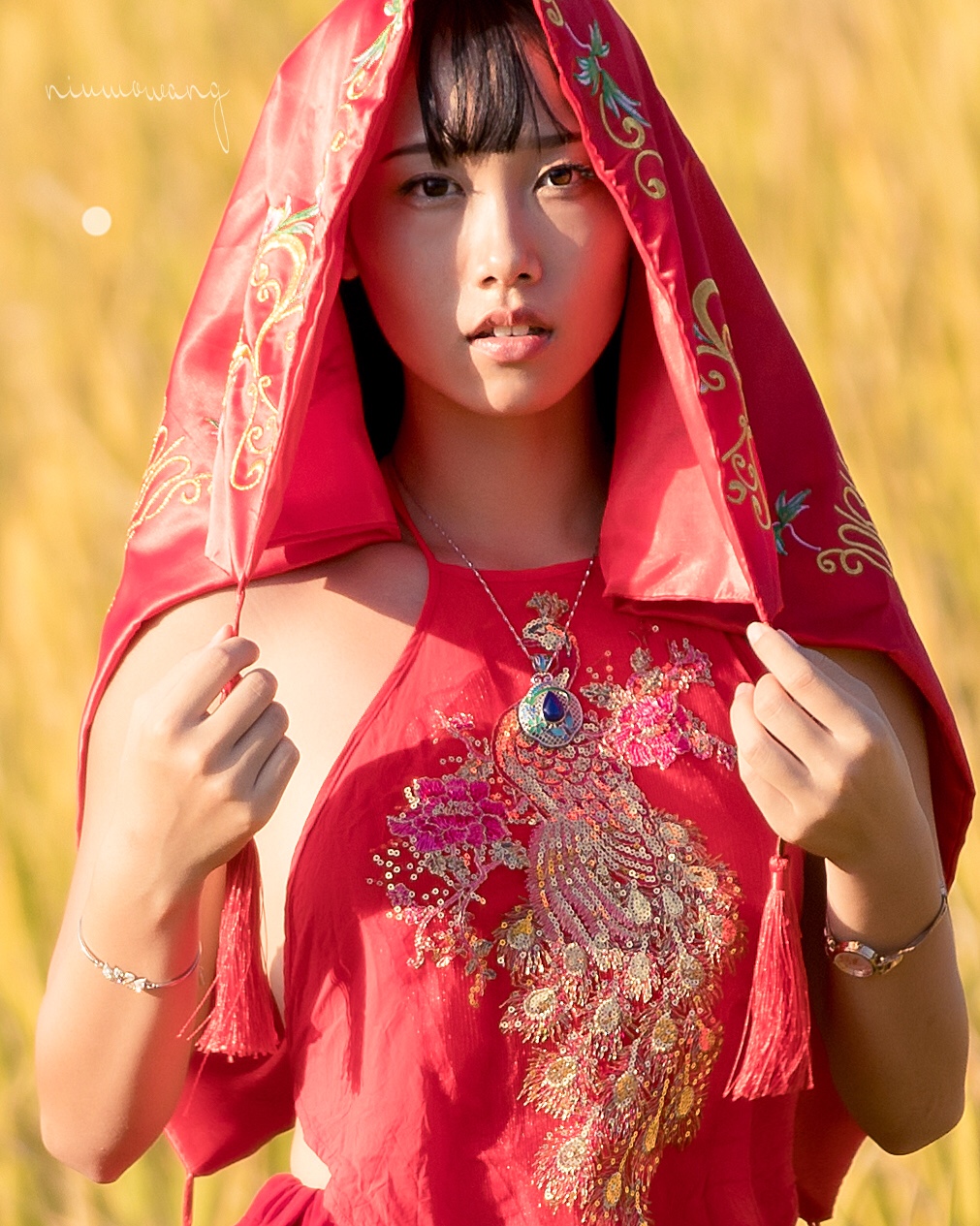 秋意浓之稻花香: 九儿