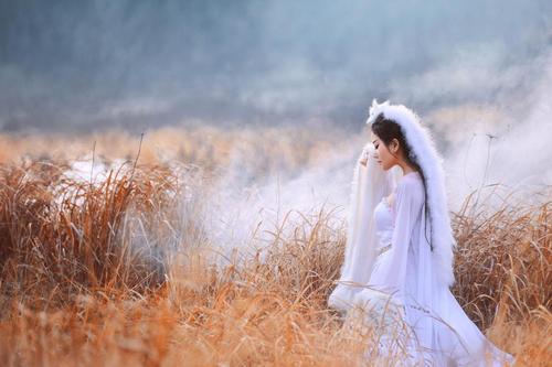 《千年白狐追梦,只为你凌空一舞》梦安老藤树诵读阿缘&雨沐浴