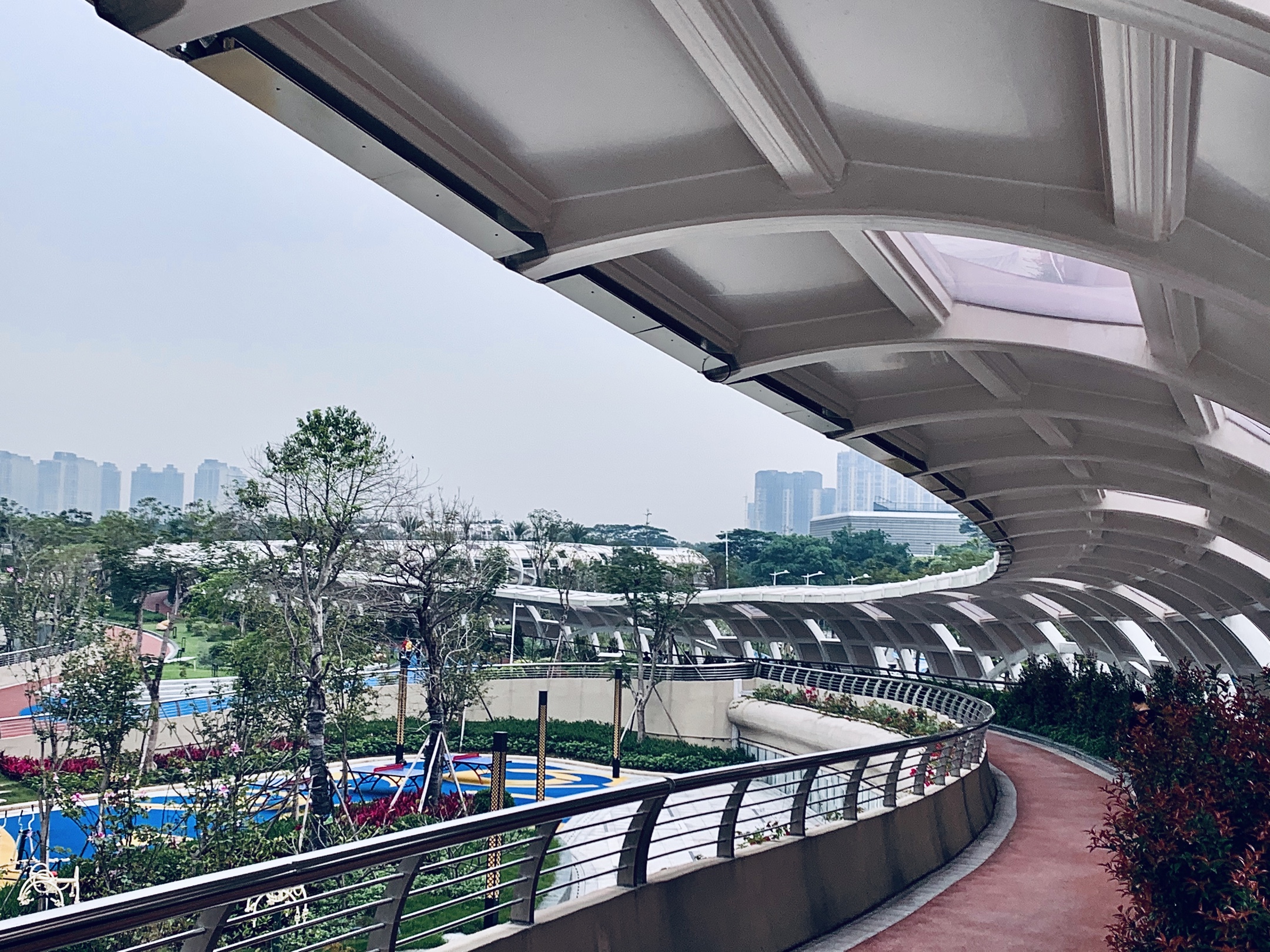 顺德中轴线公园金凤凰